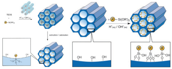Pharmaceutics | Free Full-Text | Delivery of Natural Agents by 