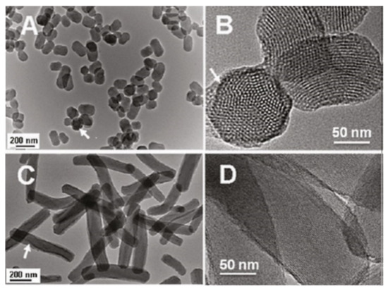 Delivery of Natural Agents by Means of Mesoporous Silica
