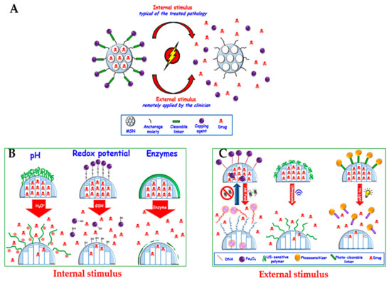 Delivery of Natural Agents by Means of Mesoporous Silica