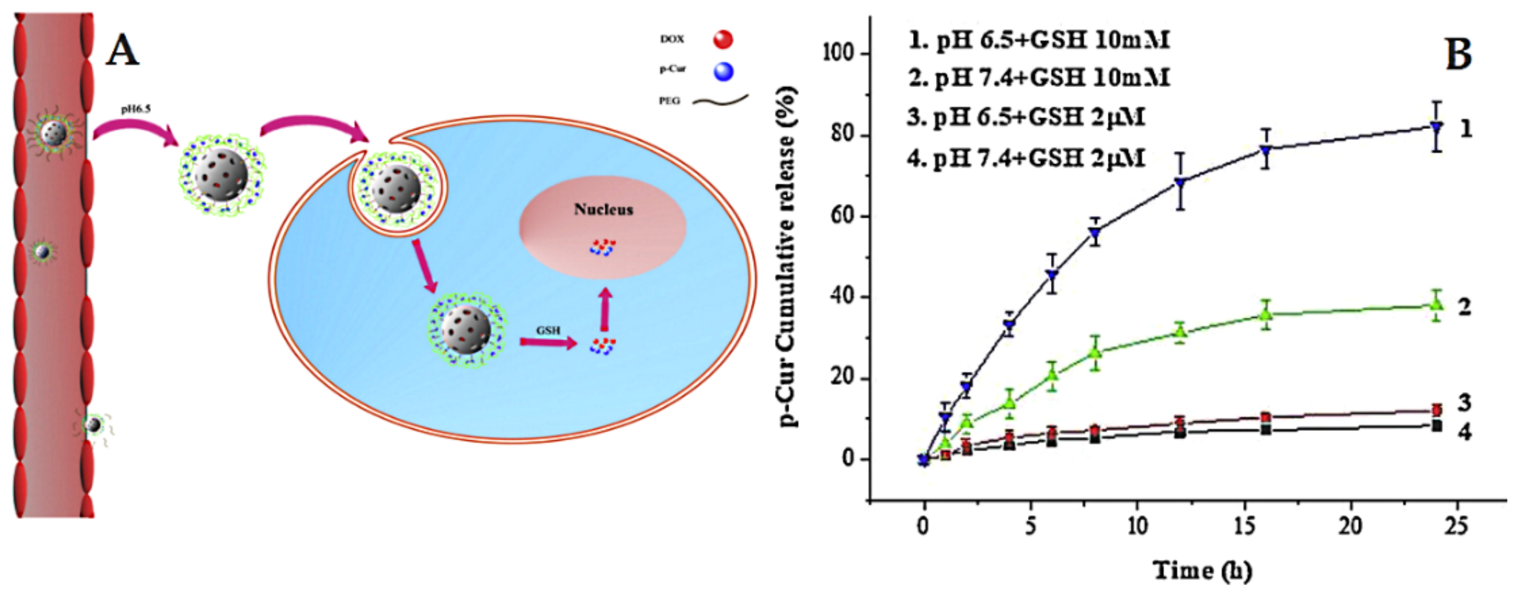Pharmaceutics | Free Full-Text | Delivery of Natural Agents by 