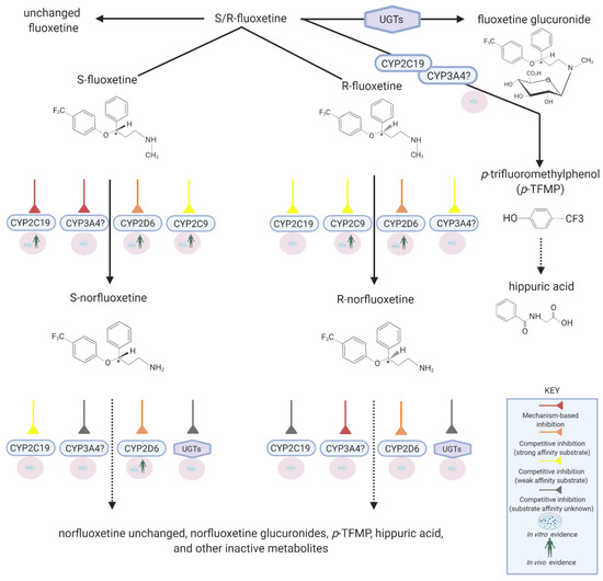 Pharmaceutics 13 00148 g001 550