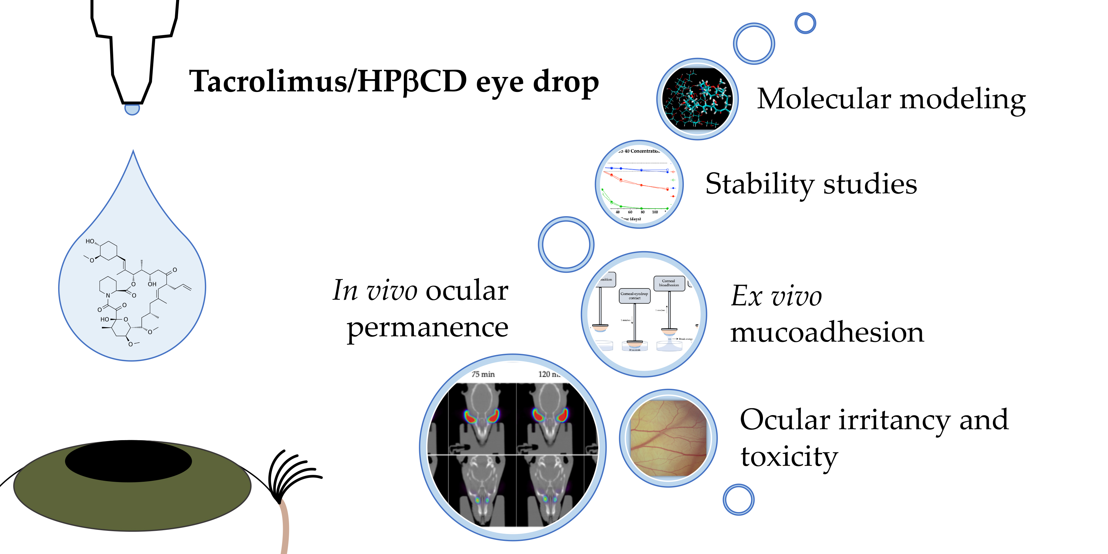 Pharmaceutics Free FullText Development and Characterization of a