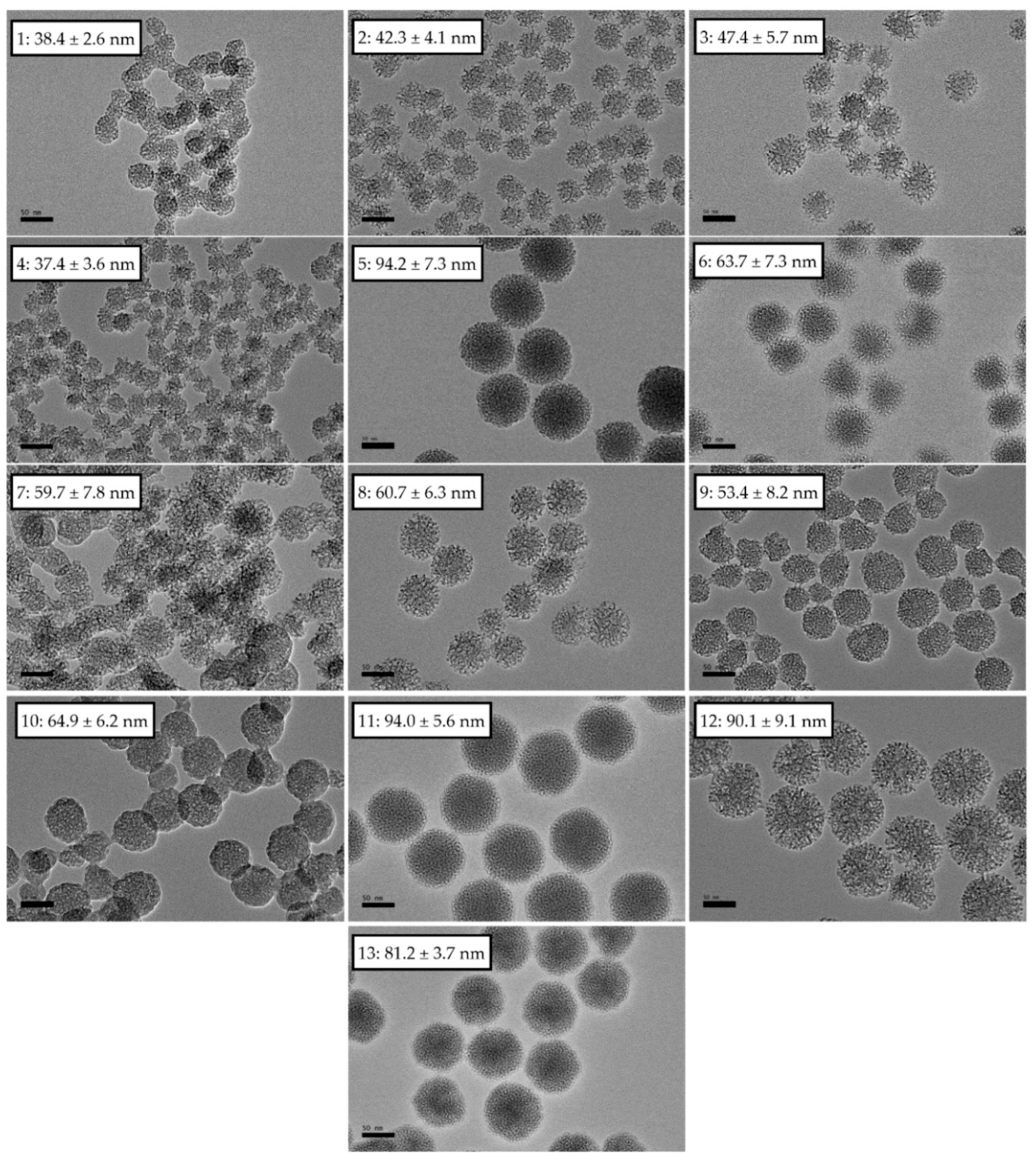 Pharmaceutics 13 00150 g003 Pharmaceutics 13 00150 g003