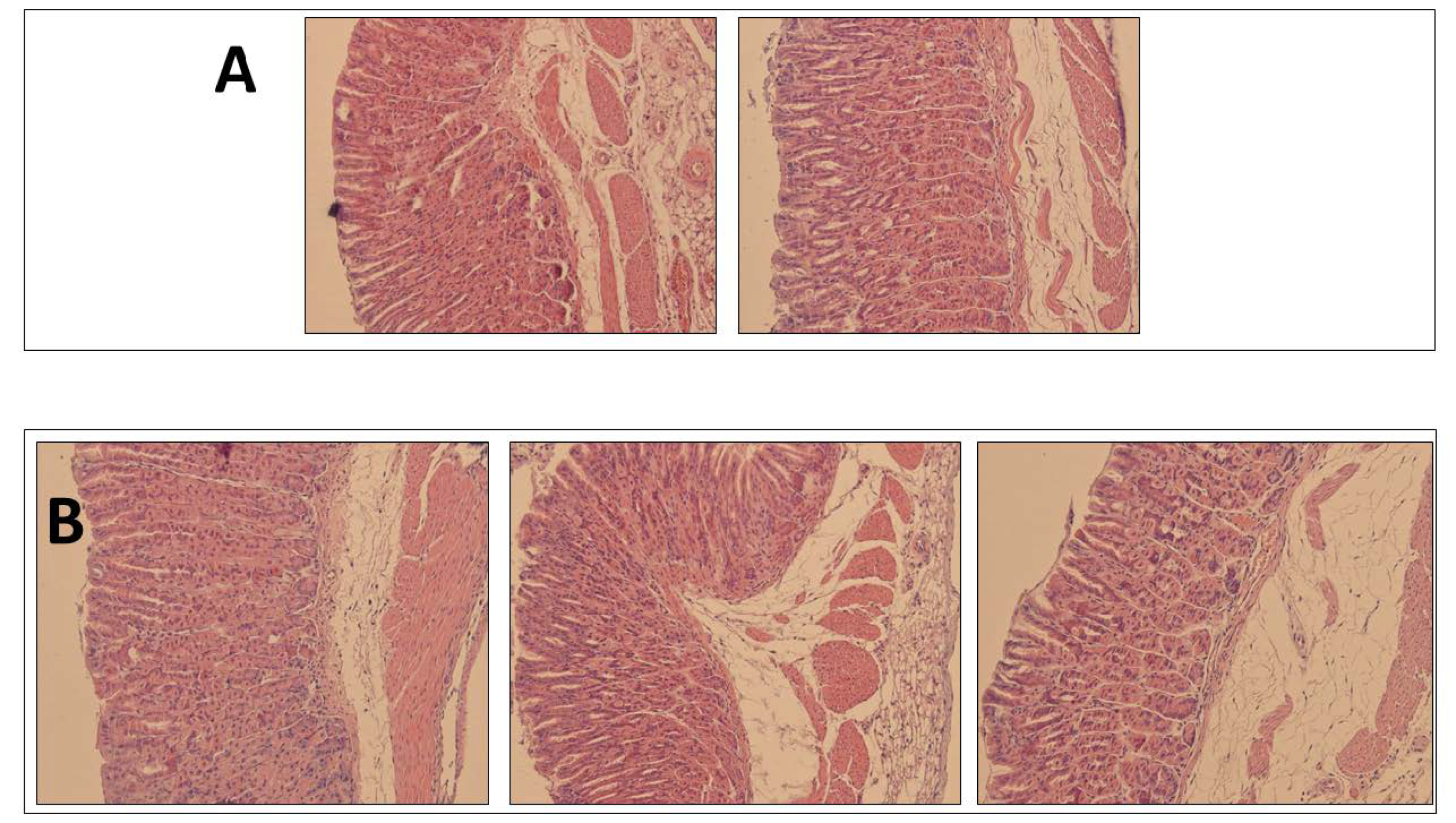 Pharmaceutics 13 00153 g005 Pharmaceutics 13 00153 g005