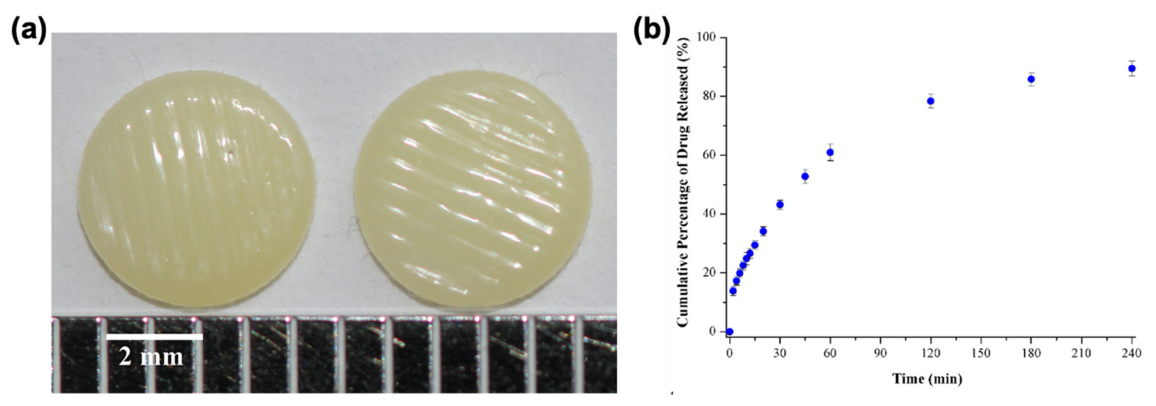 Pharmaceutics 13 00156 g008 Pharmaceutics 13 00156 g008