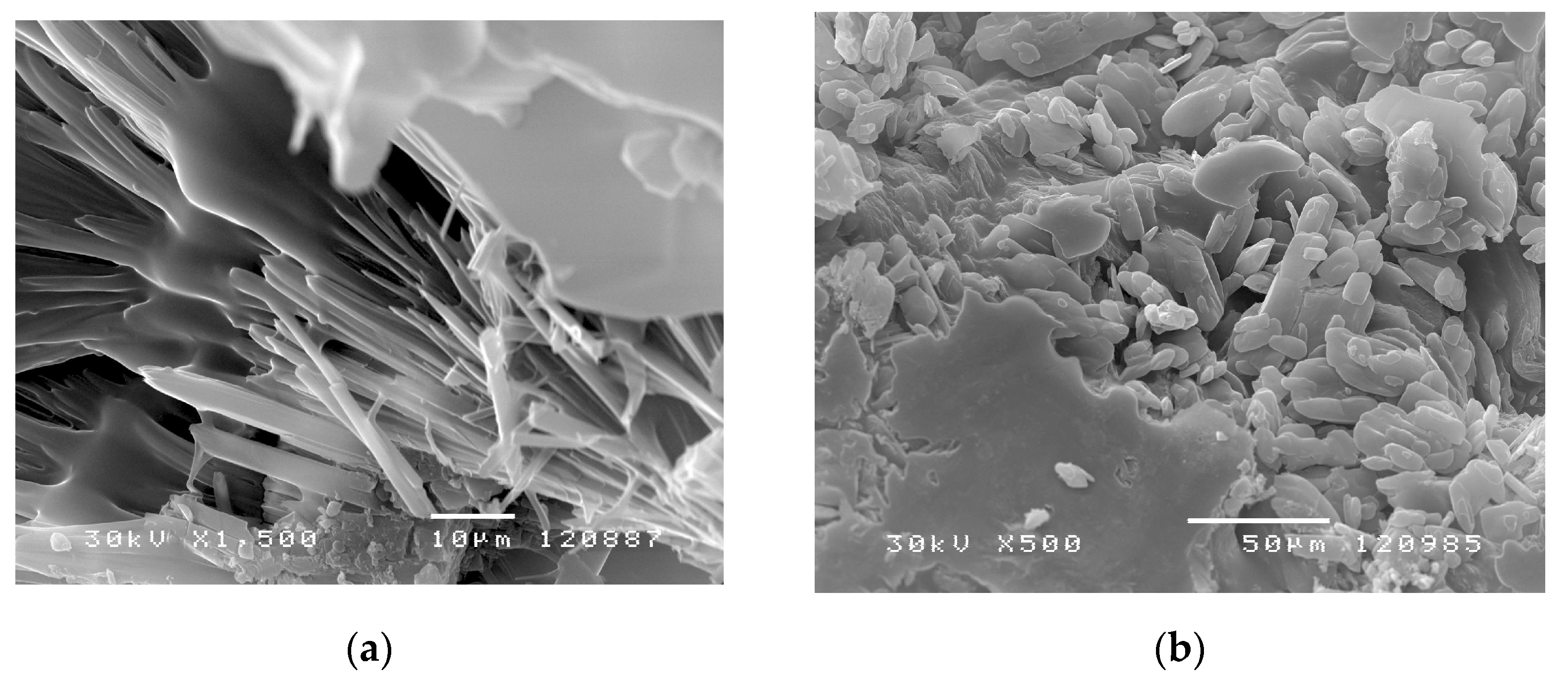 Pharmaceutics 13 00158 g006