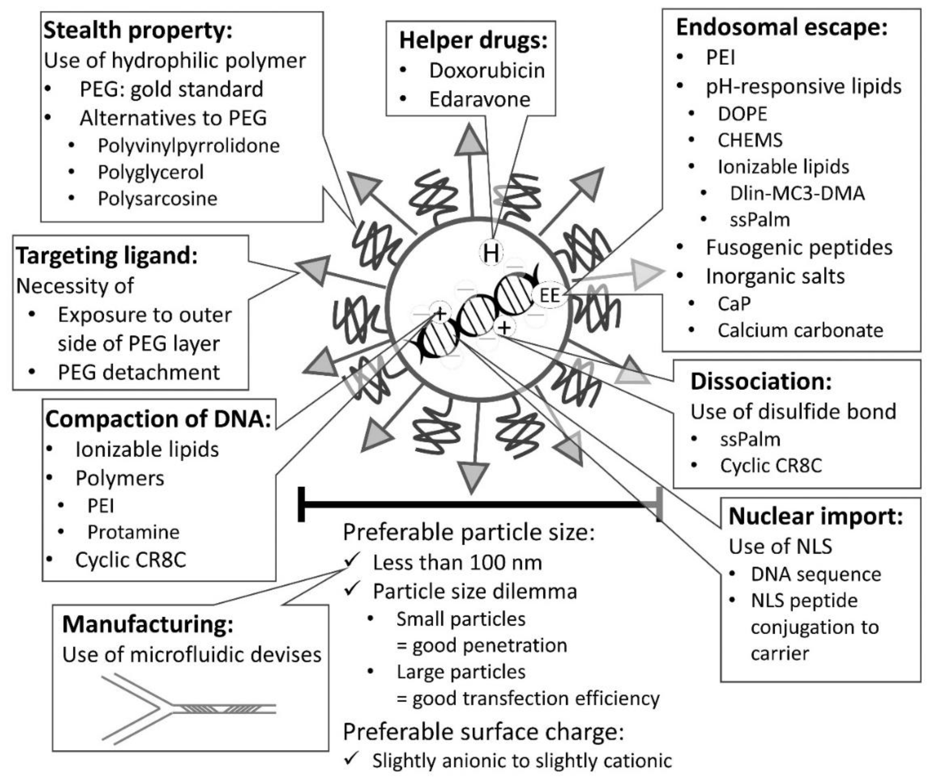 Pharmaceutics 13 00159 g004