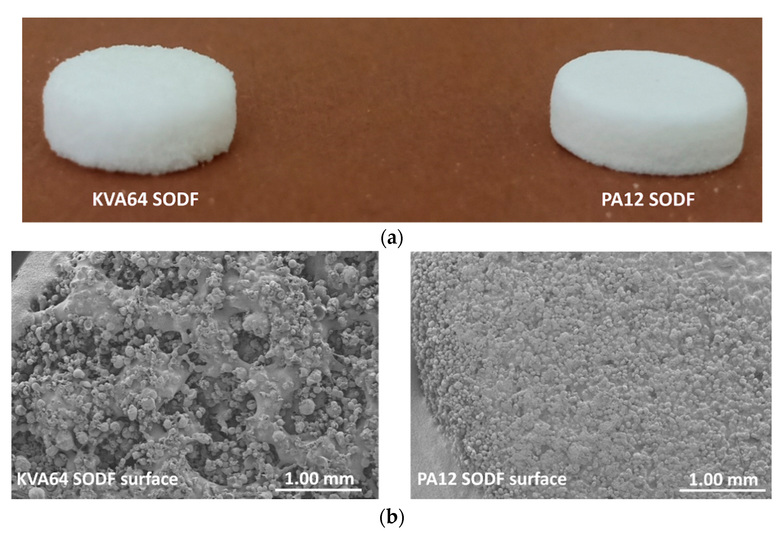 Pharmaceutics 13 00160 g007 Pharmaceutics 13 00160 g007