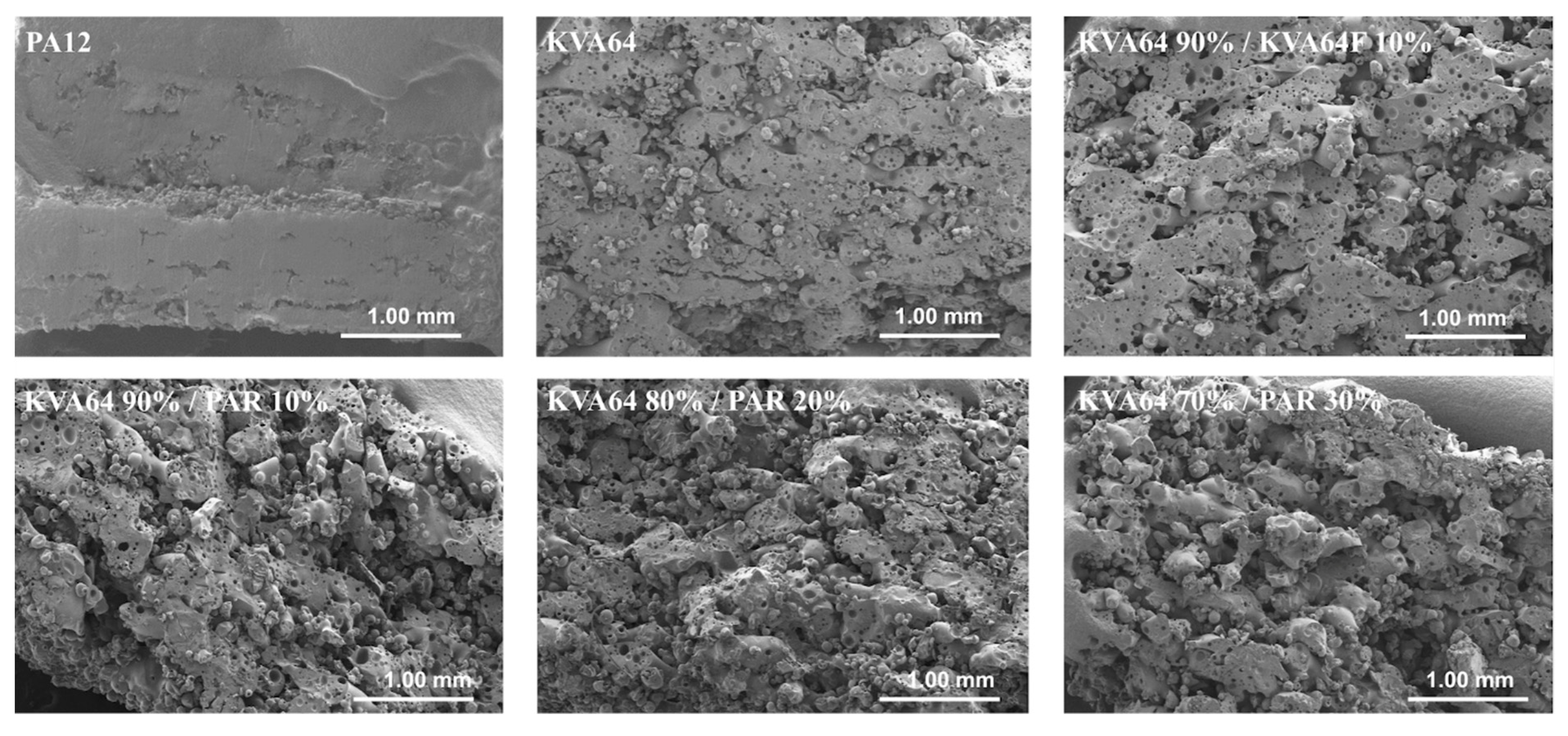 Pharmaceutics 13 00160 g008 Pharmaceutics 13 00160 g008