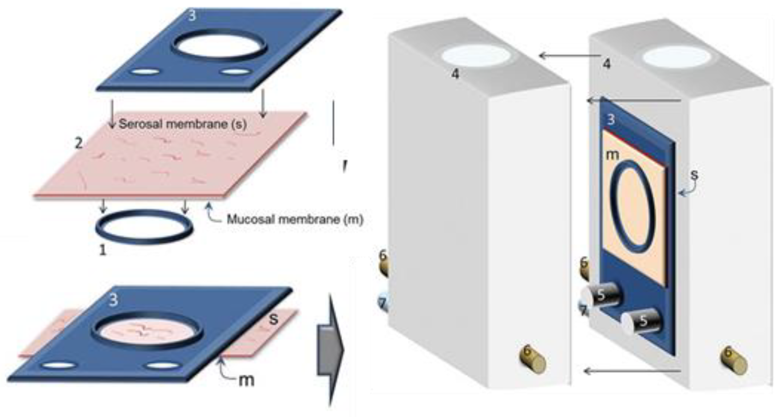 Pharmaceutics 13 00161 g003 Pharmaceutics 13 00161 g003