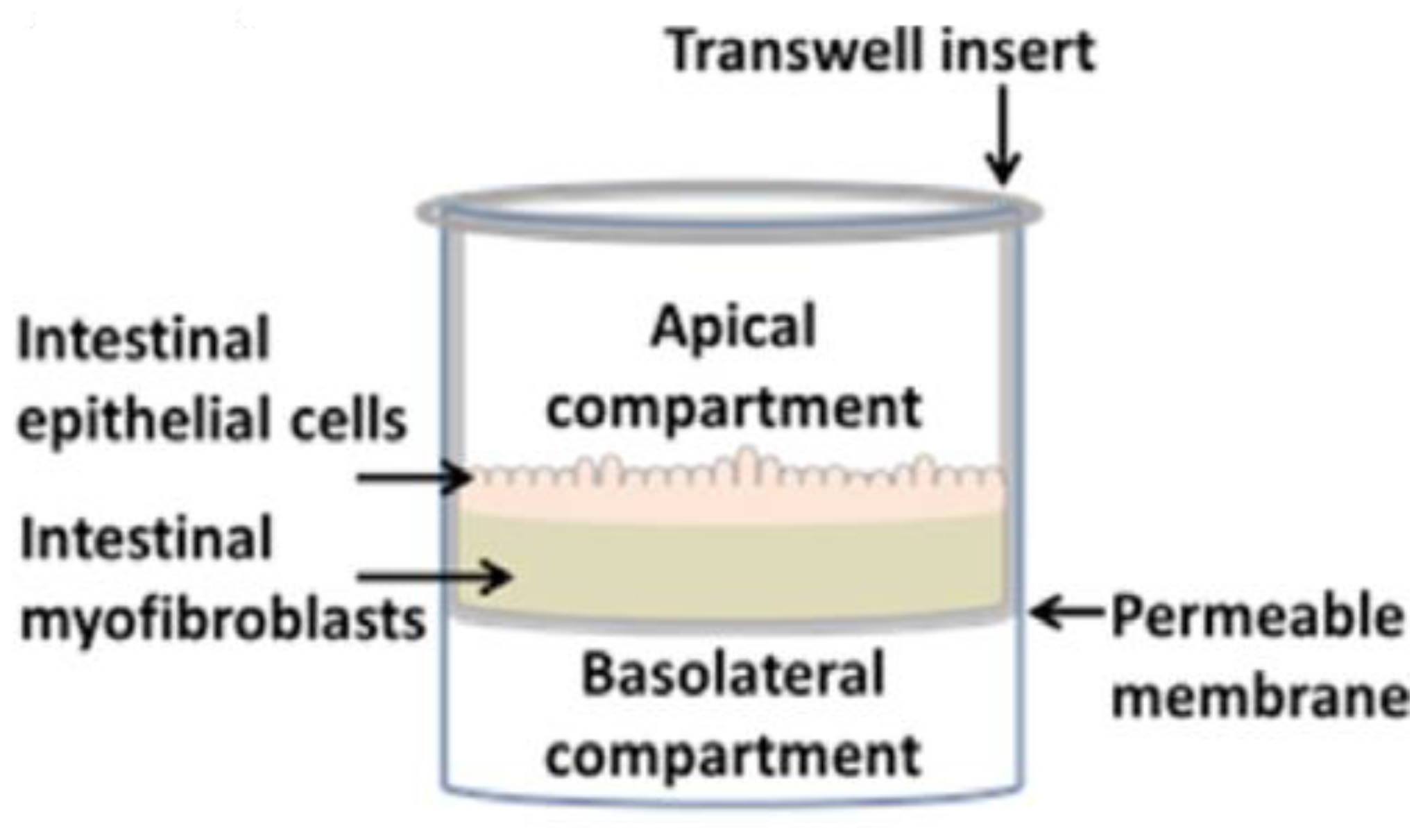 Pharmaceutics 13 00161 g008 Pharmaceutics 13 00161 g008