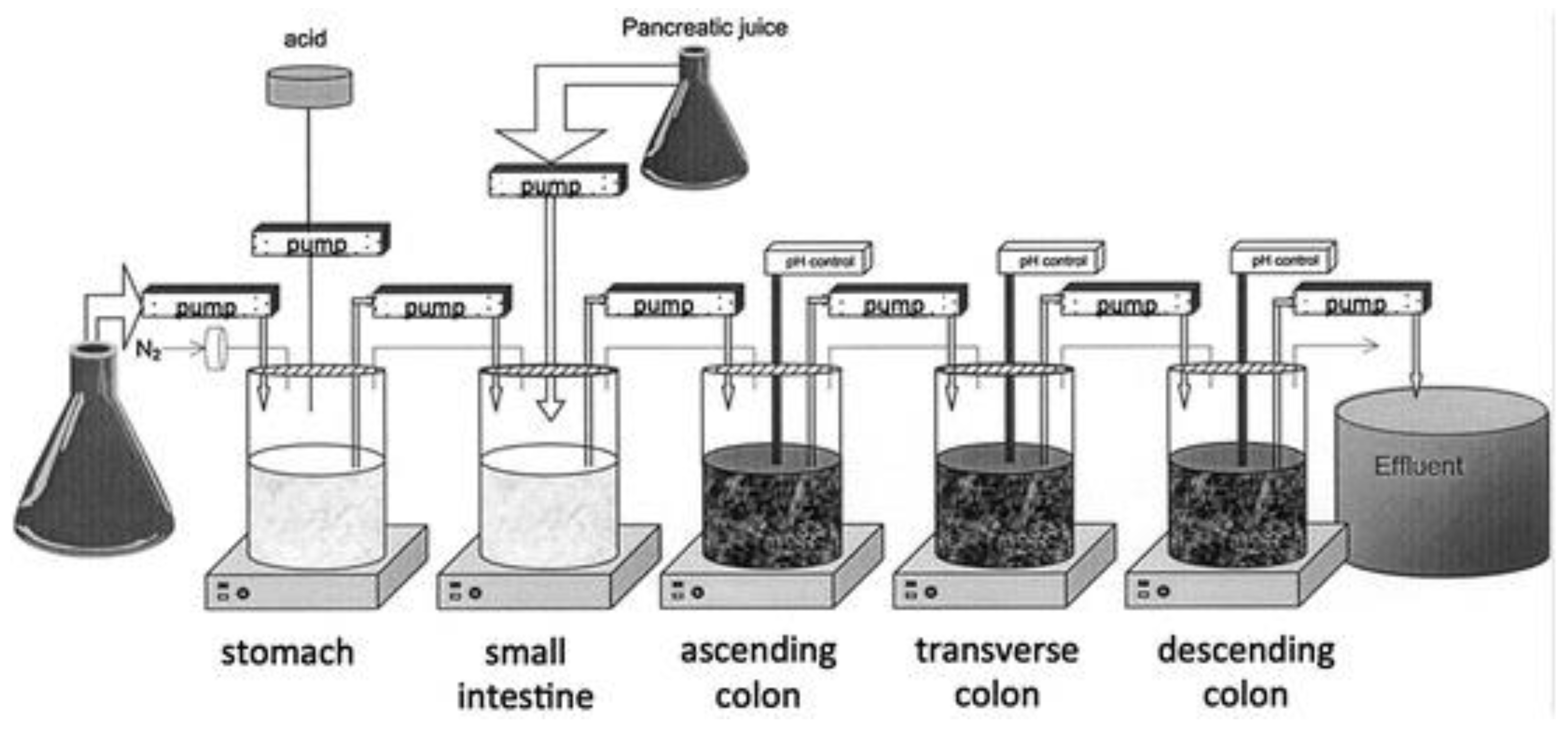 Pharmaceutics 13 00161 g011 Pharmaceutics 13 00161 g011