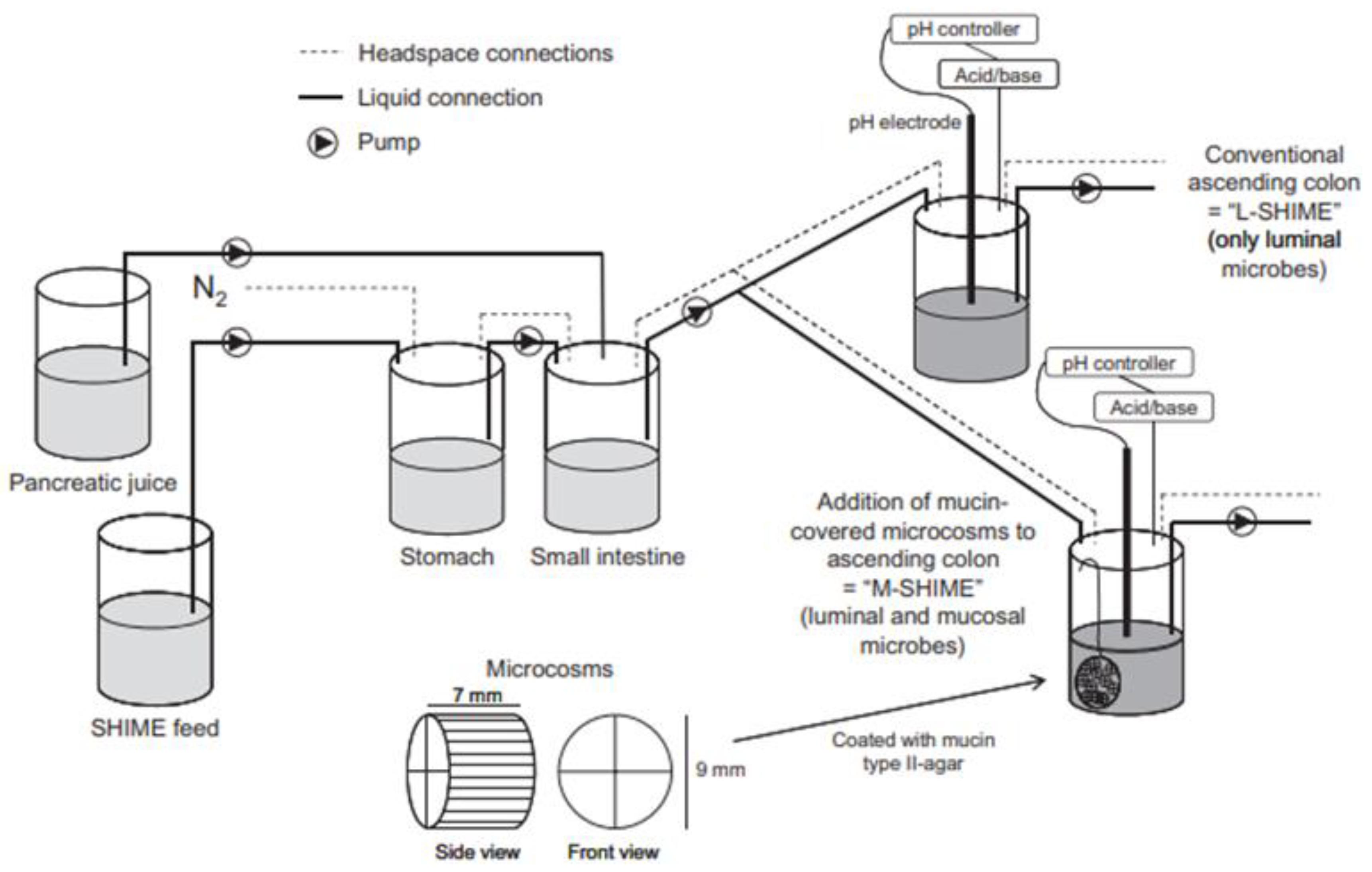 Pharmaceutics 13 00161 g012 Pharmaceutics 13 00161 g012