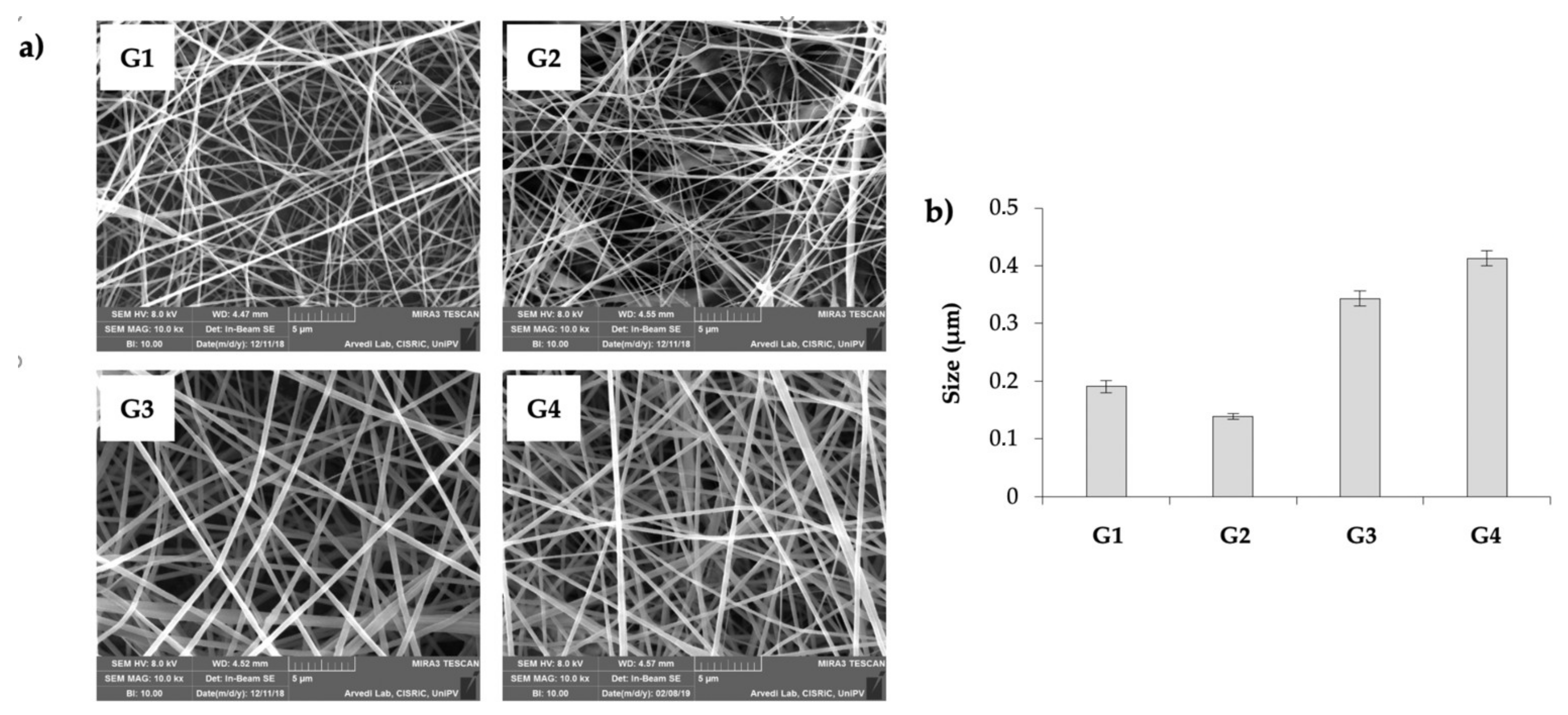 Pharmaceutics 13 00164 g001