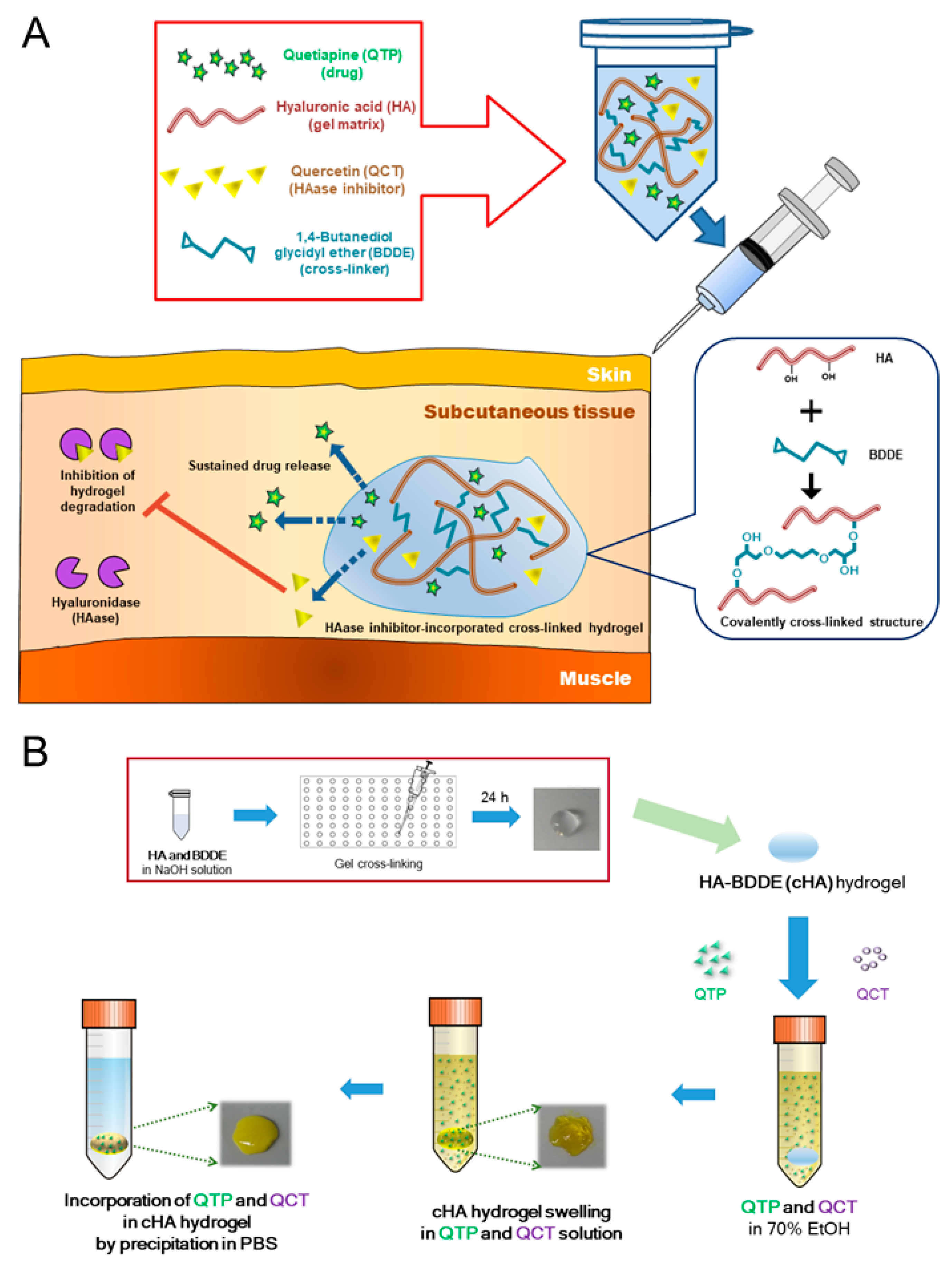 Pharmaceutics 13 00170 g001