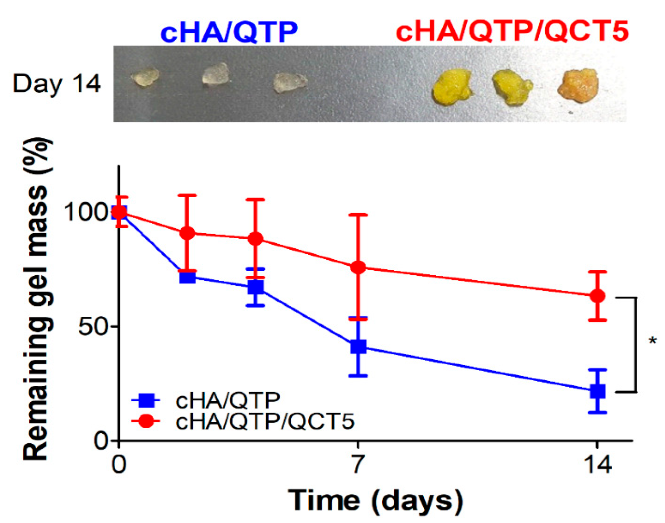 Pharmaceutics 13 00170 g004