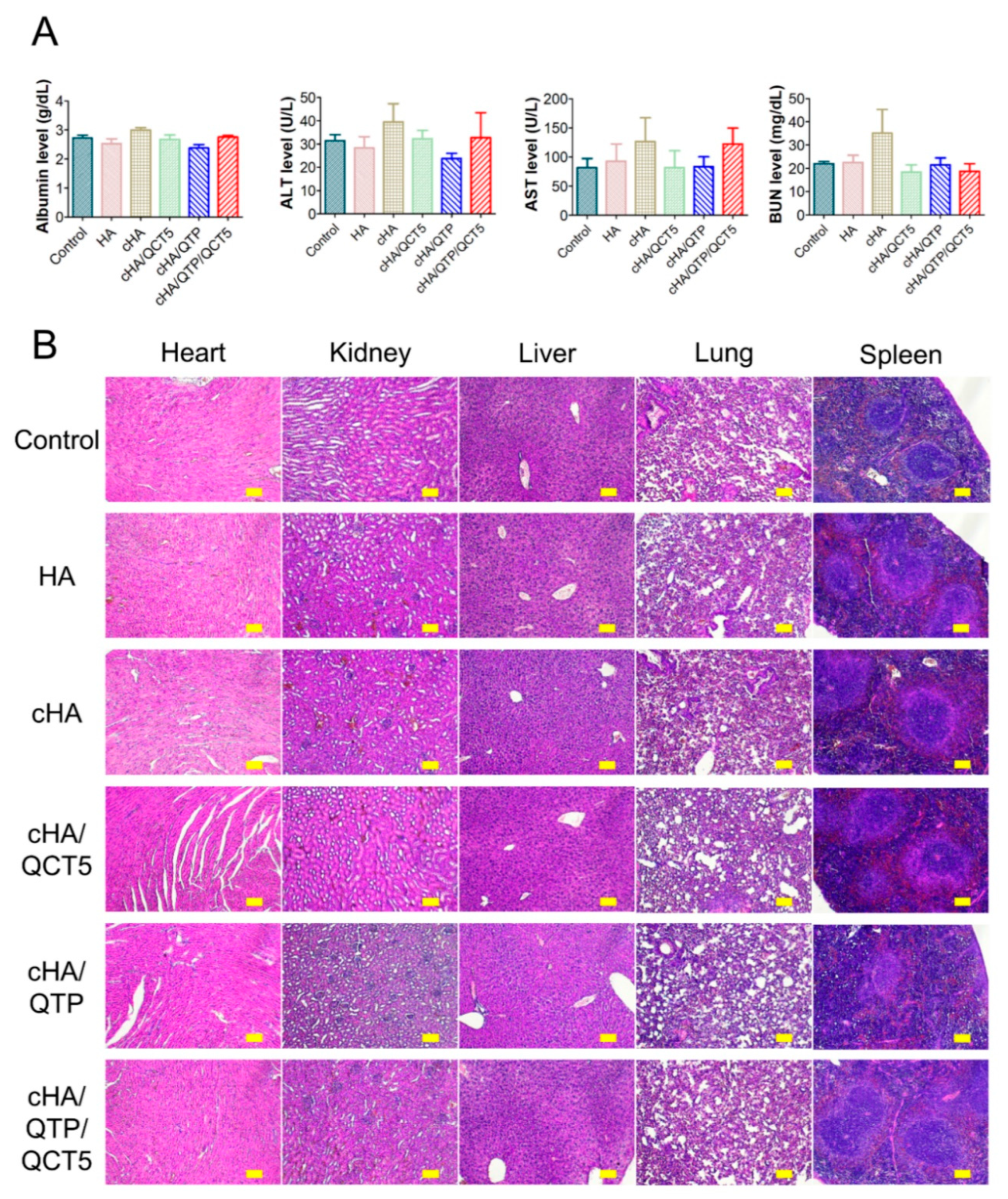 Pharmaceutics 13 00170 g005