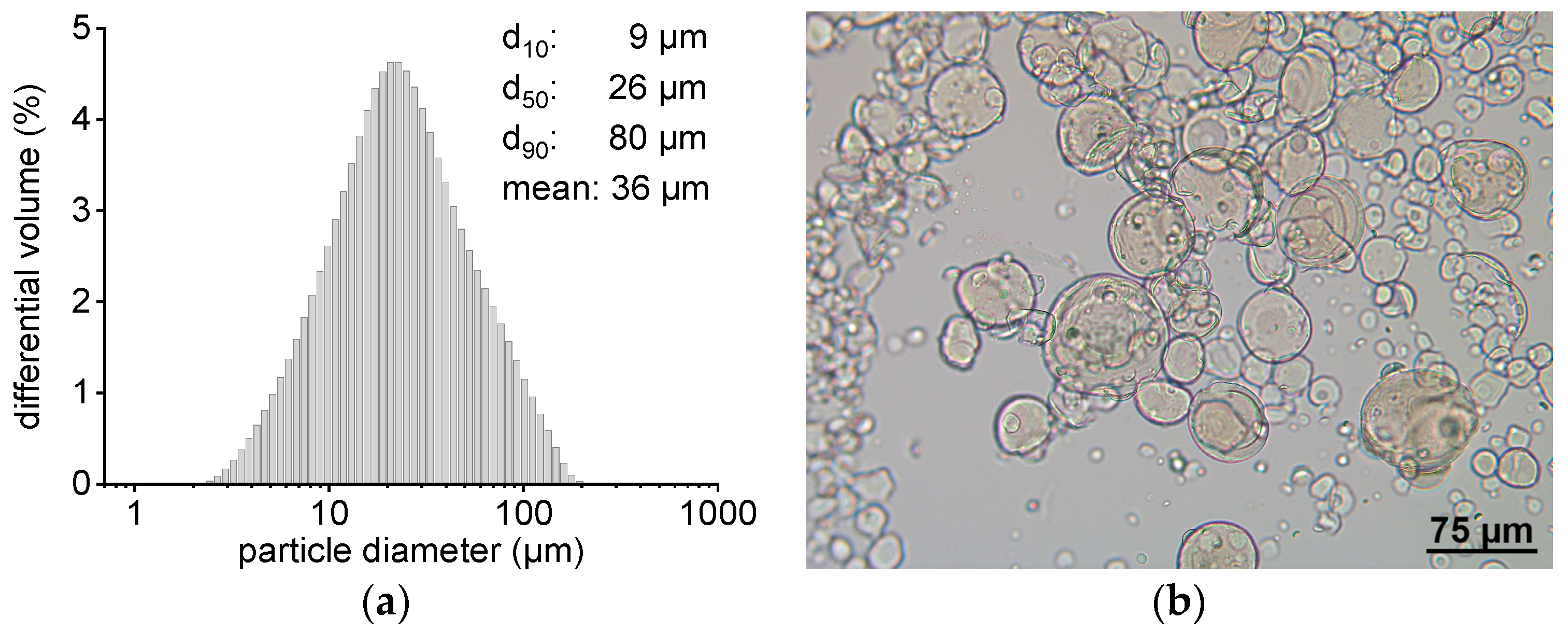 Pharmaceutics 13 00173 g002