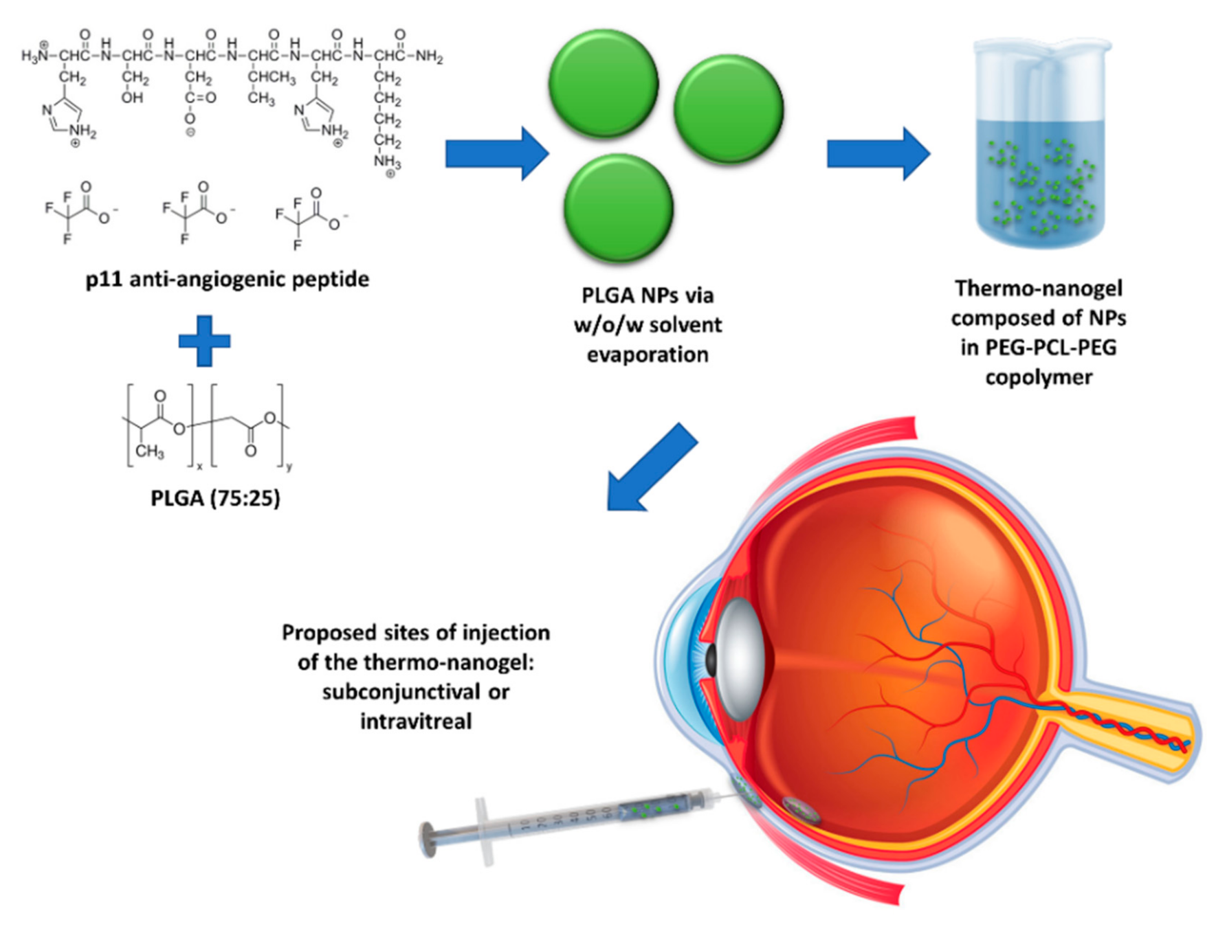 Pharmaceutics 13 00176 g001
