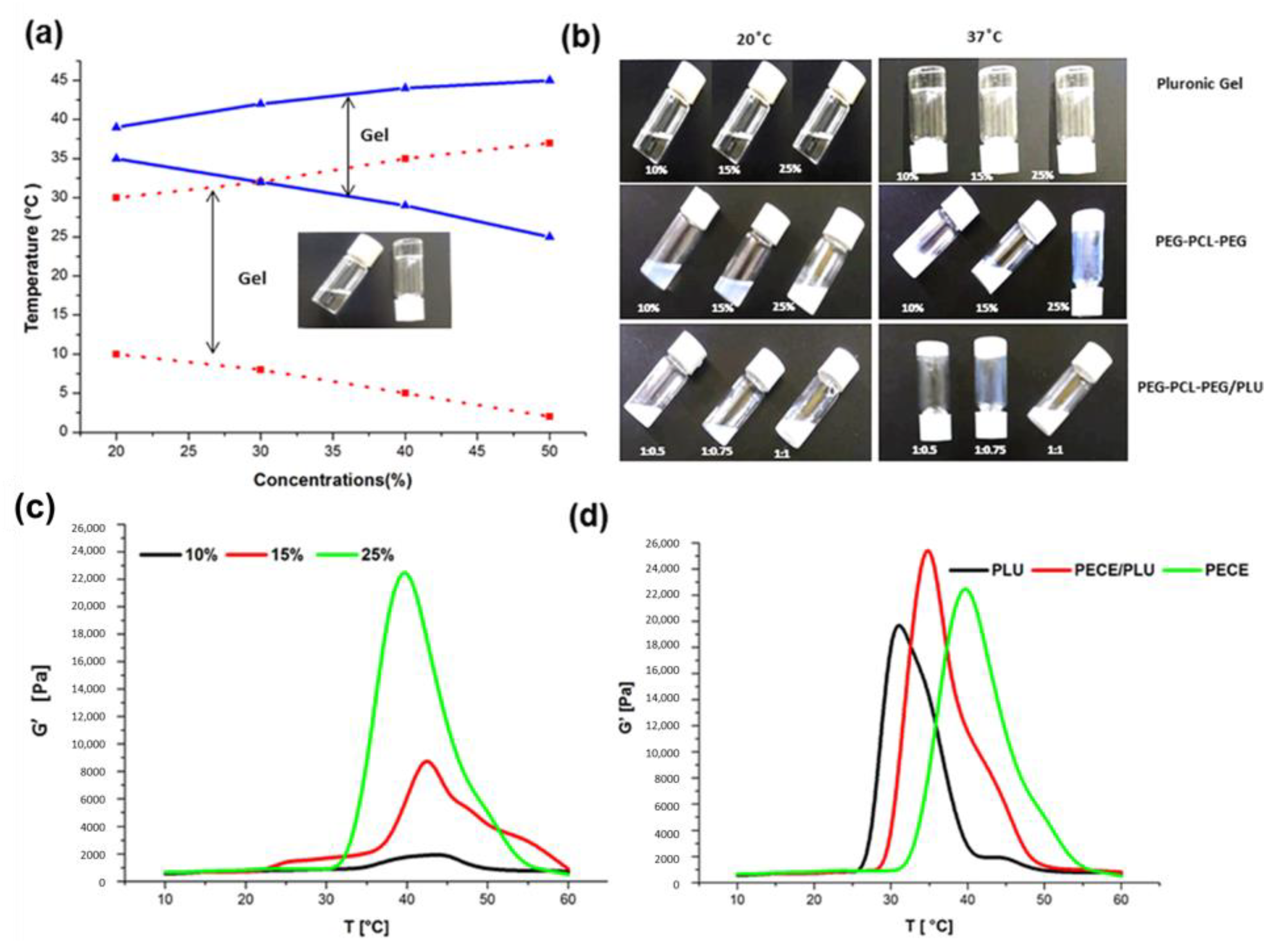 Pharmaceutics 13 00176 g004