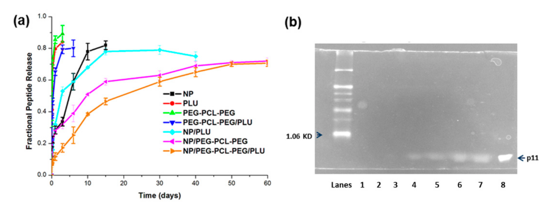 Pharmaceutics 13 00176 g006