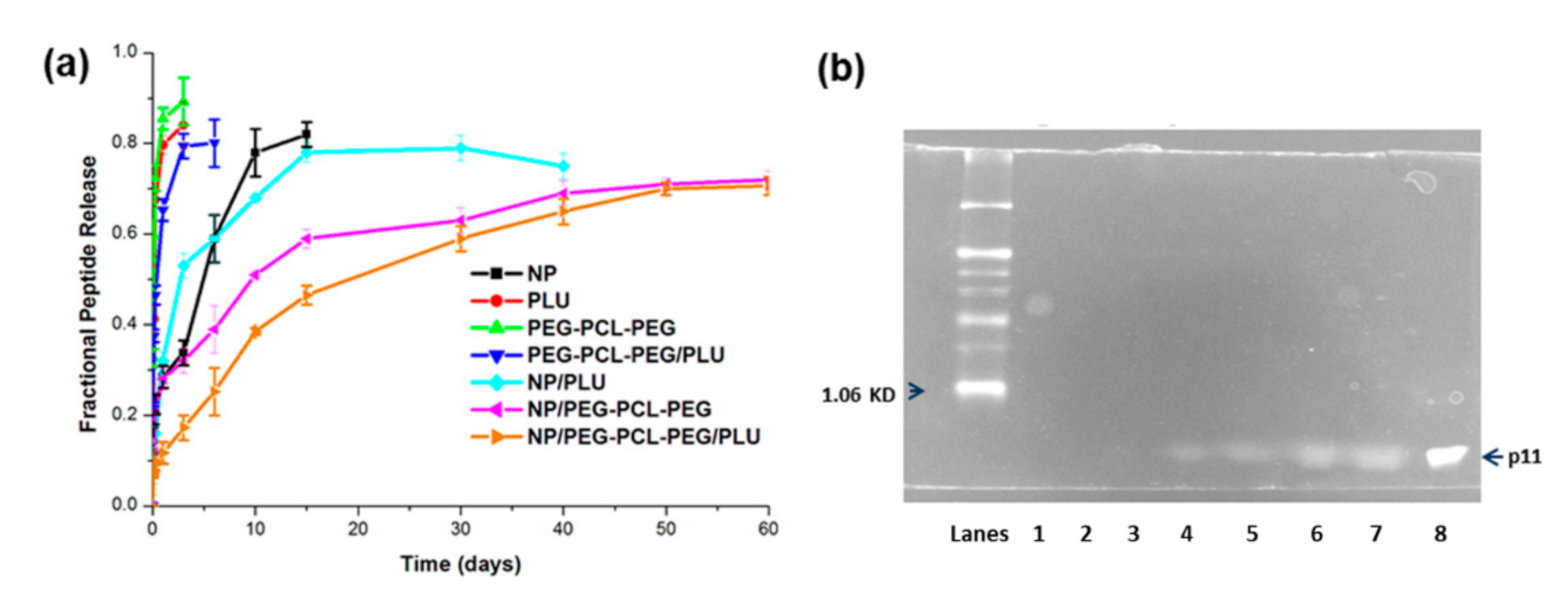 Pharmaceutics 13 00176 g007