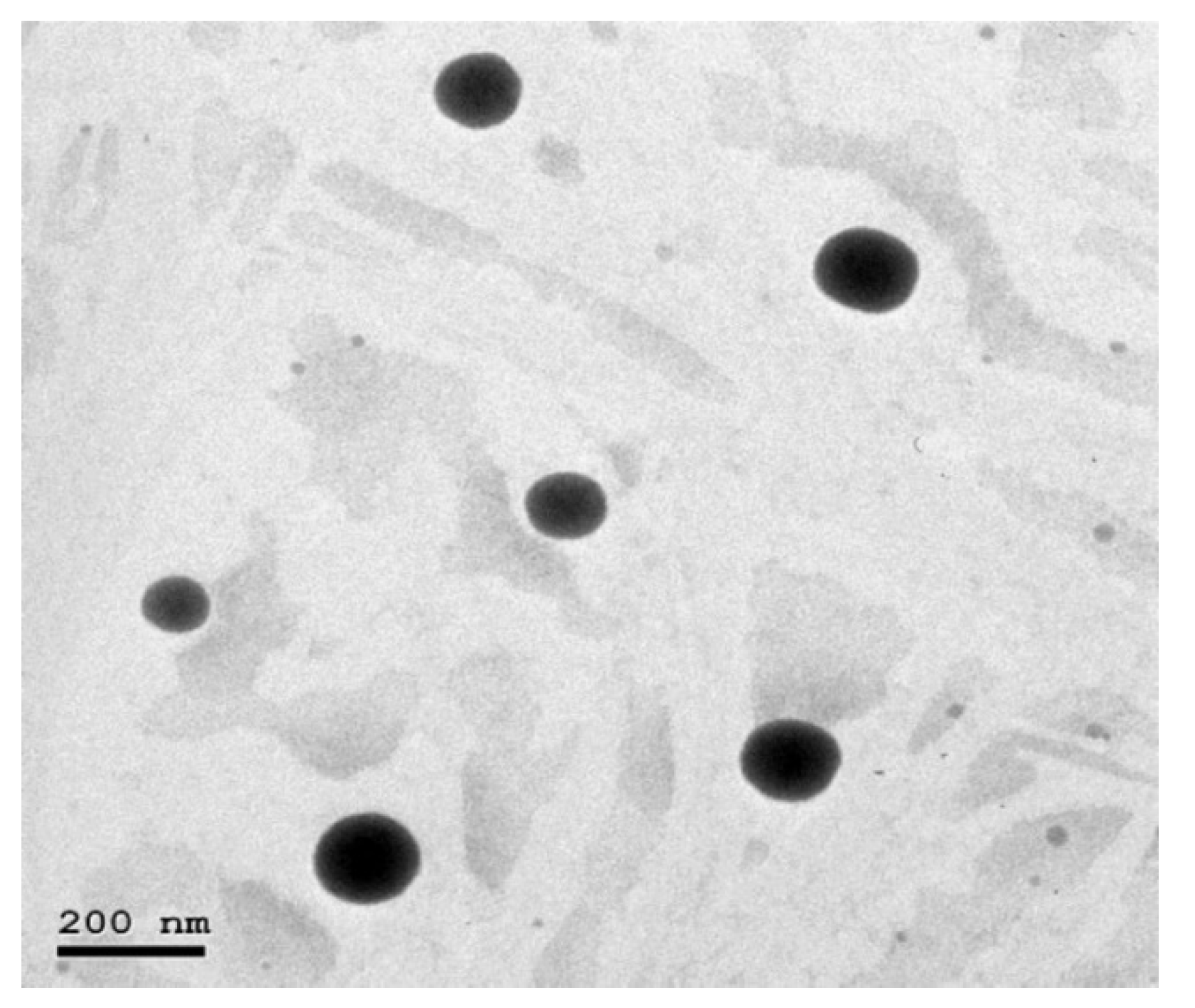 Pharmaceutics 13 00178 g007