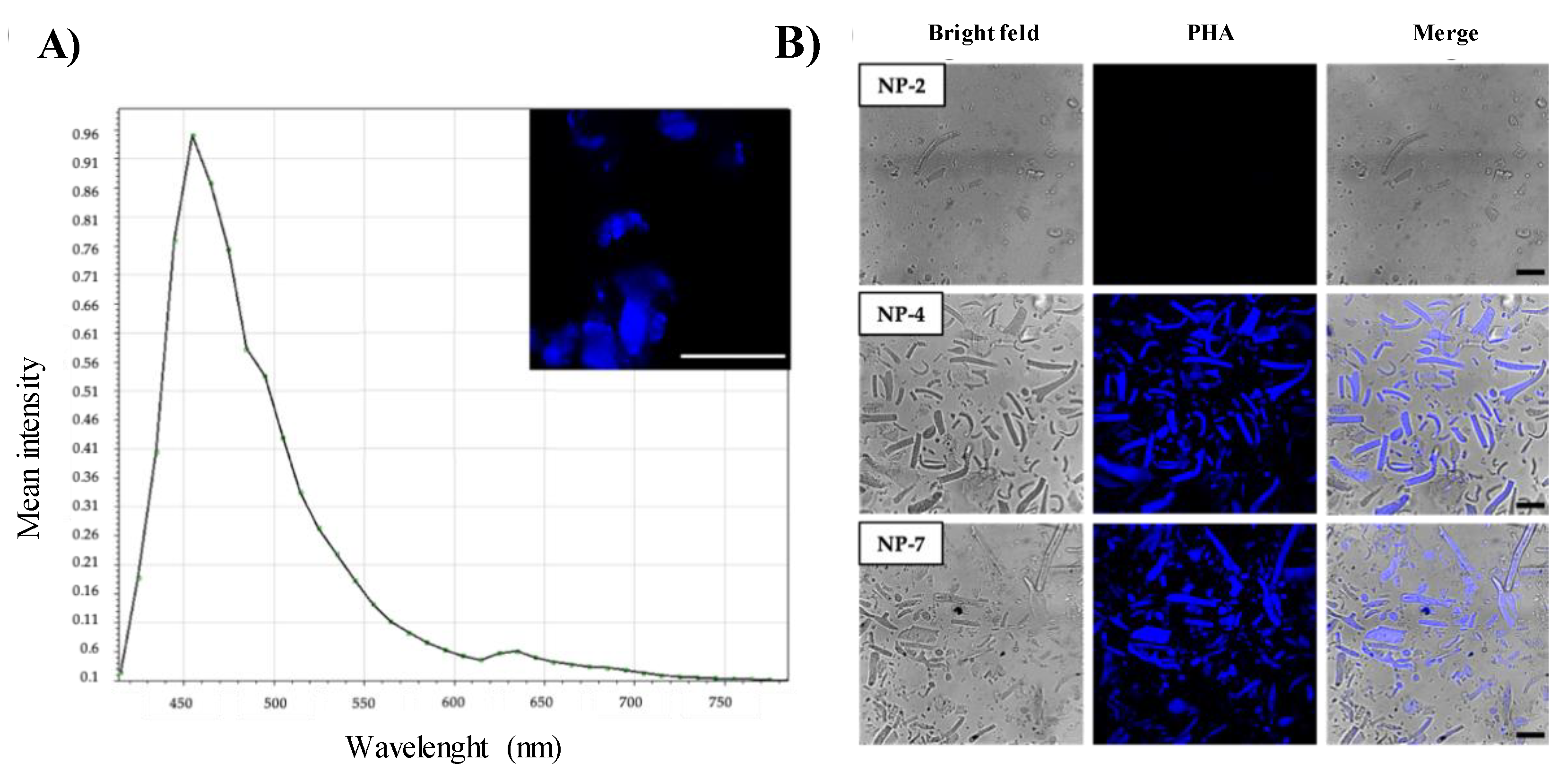 Pharmaceutics 13 00180 g004