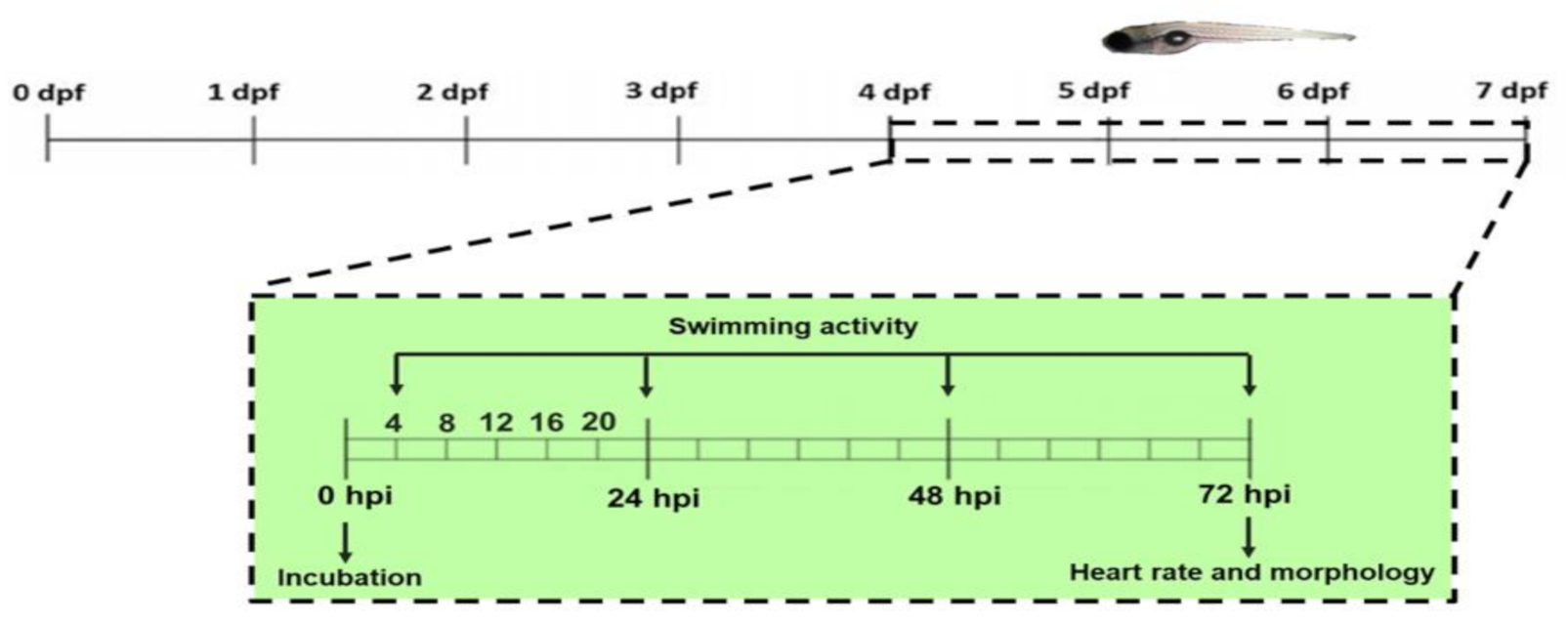 Pharmaceutics 13 00186 g011 Pharmaceutics 13 00186 g011