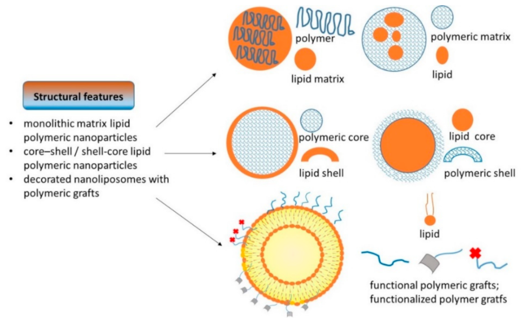 Pharmaceutics 13 00198 g003