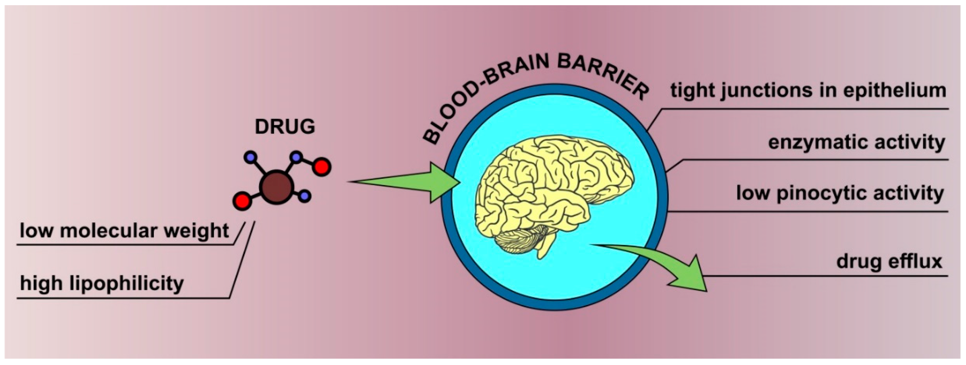 Pharmaceutics 13 00201 g001 Pharmaceutics 13 00201 g001