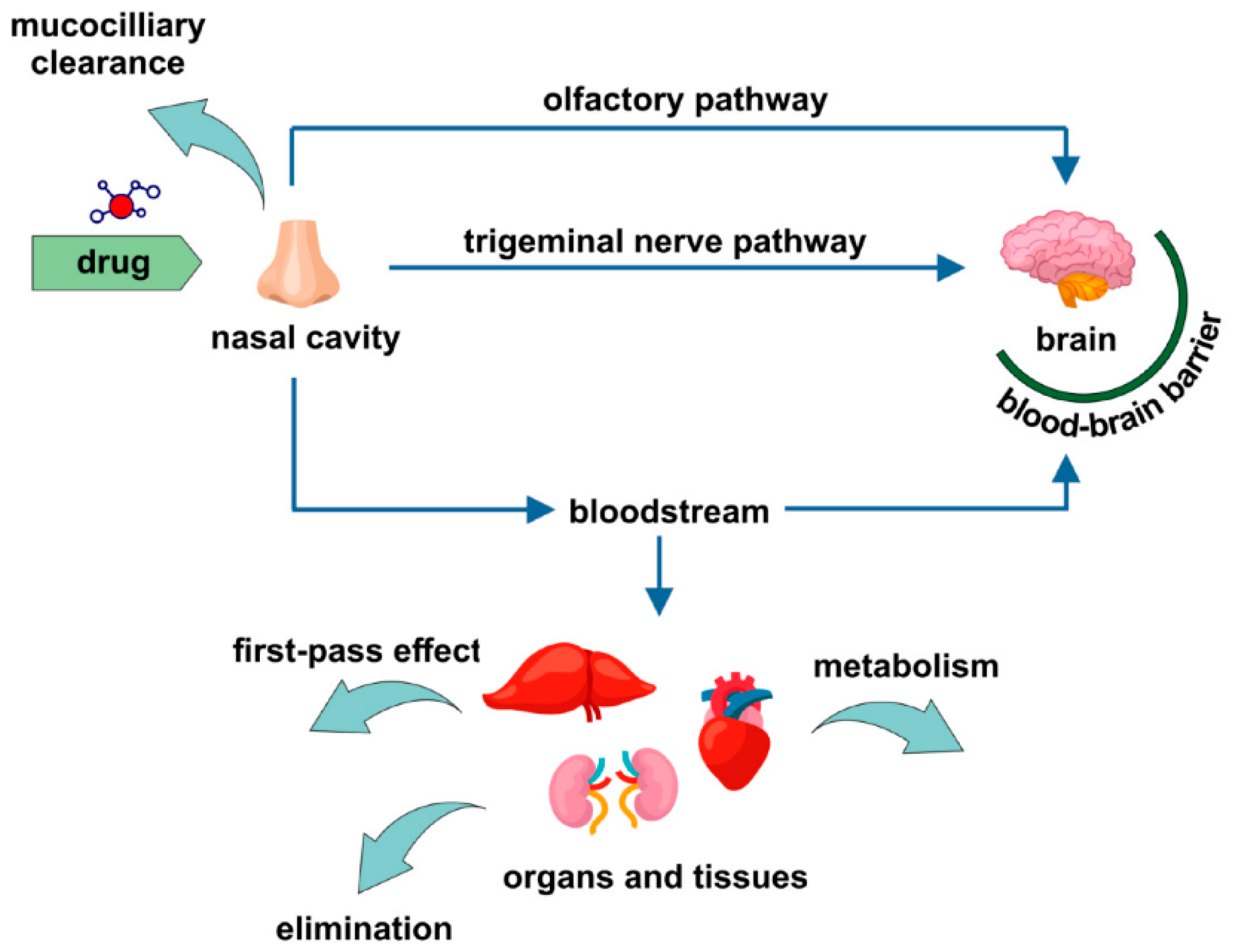 Pharmaceutics 13 00201 g002 Pharmaceutics 13 00201 g002