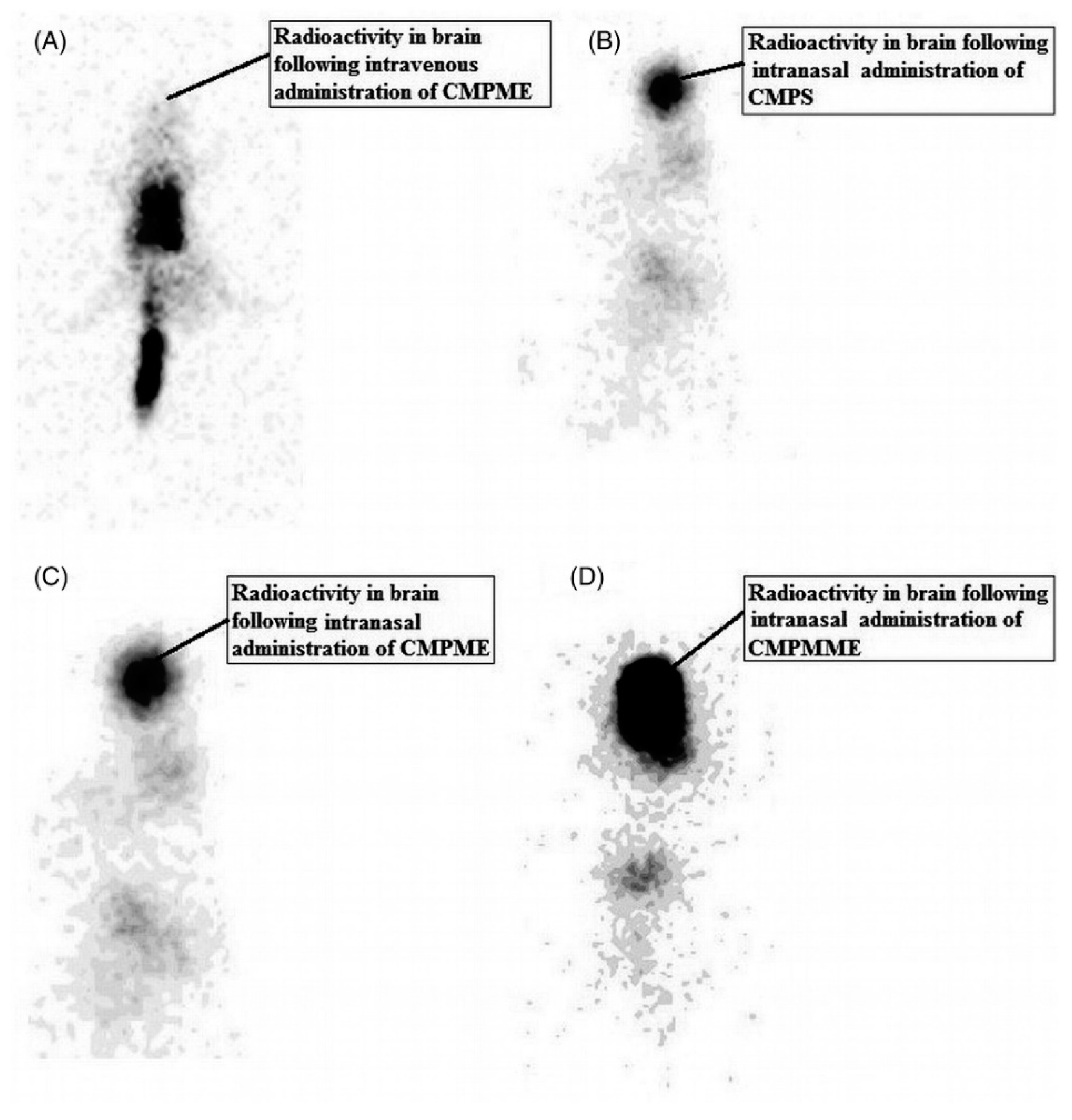Pharmaceutics 13 00201 g005 Pharmaceutics 13 00201 g005