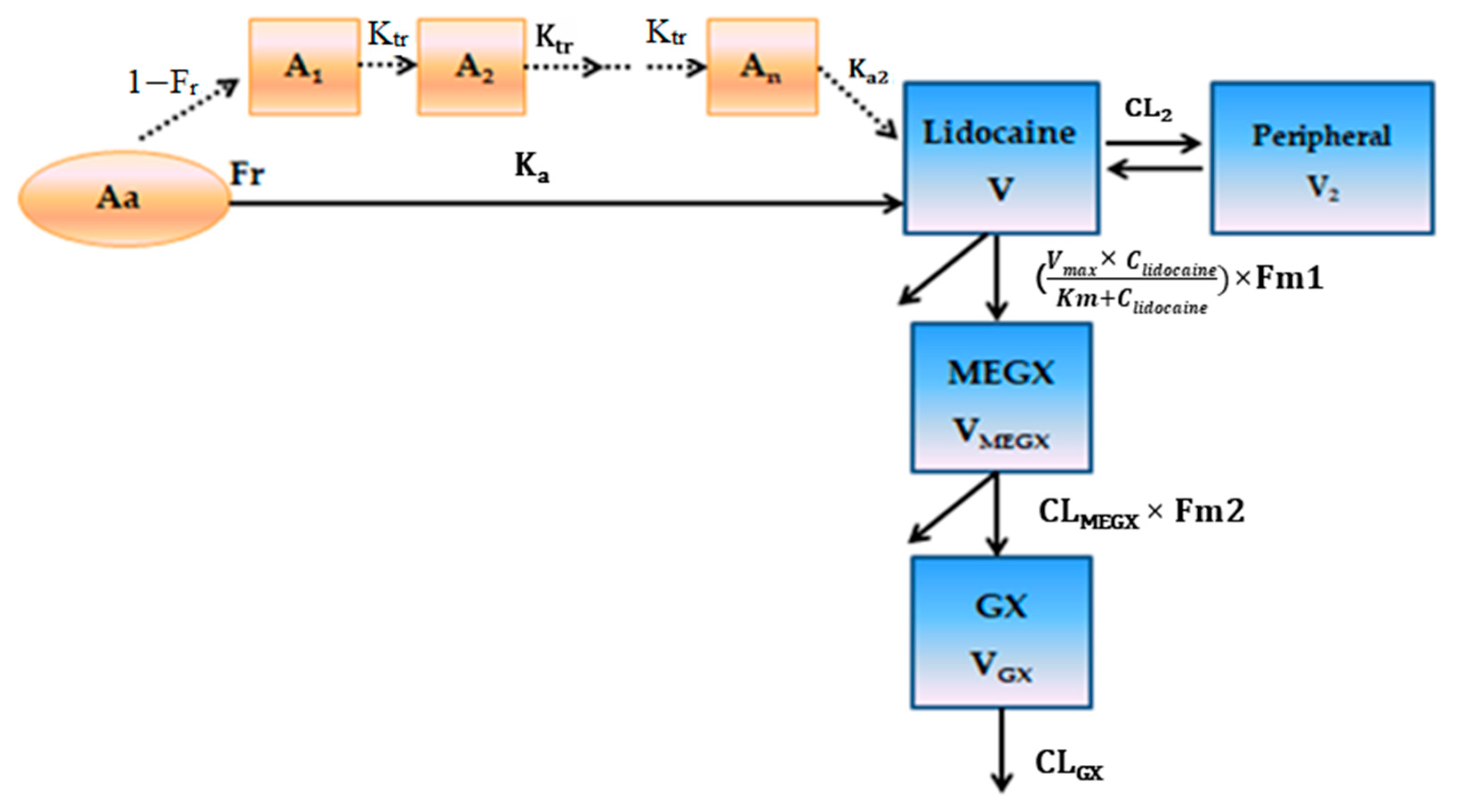 Pharmaceutics 13 00203 g003 Pharmaceutics 13 00203 g003