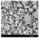 Pharmaceutics 13 00211 i001 Pharmaceutics 13 00211 i001