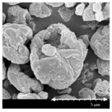 Pharmaceutics 13 00211 i002 Pharmaceutics 13 00211 i002