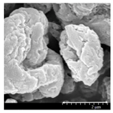 Pharmaceutics 13 00211 i003 Pharmaceutics 13 00211 i003