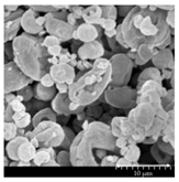 Pharmaceutics 13 00211 i004 Pharmaceutics 13 00211 i004