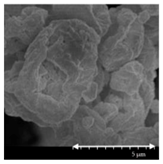 Pharmaceutics 13 00211 i005 Pharmaceutics 13 00211 i005