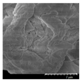 Pharmaceutics 13 00211 i006 Pharmaceutics 13 00211 i006