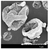 Pharmaceutics 13 00211 i008 Pharmaceutics 13 00211 i008