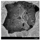 Pharmaceutics 13 00211 i009 Pharmaceutics 13 00211 i009