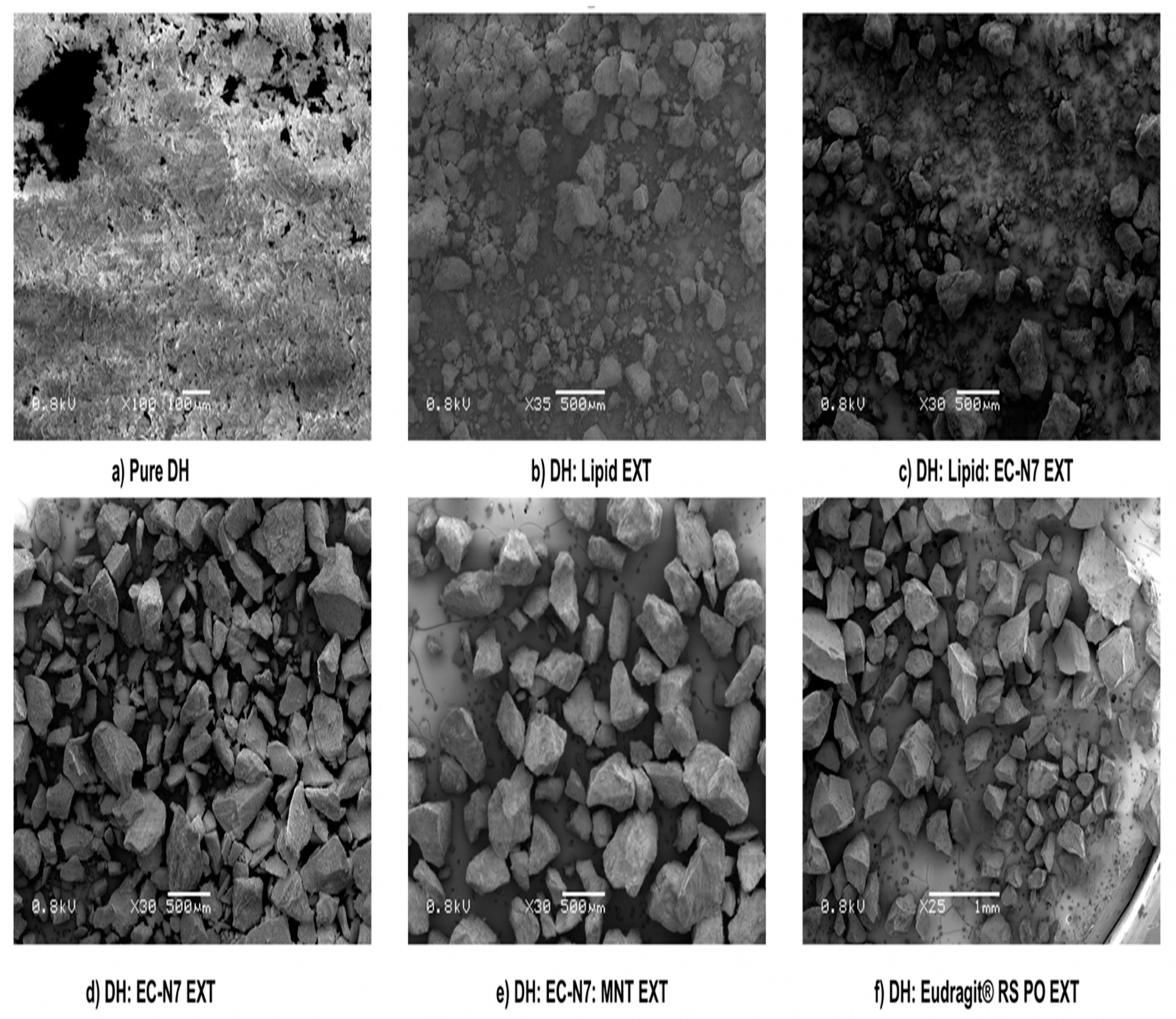 Pharmaceutics 13 00213 g006