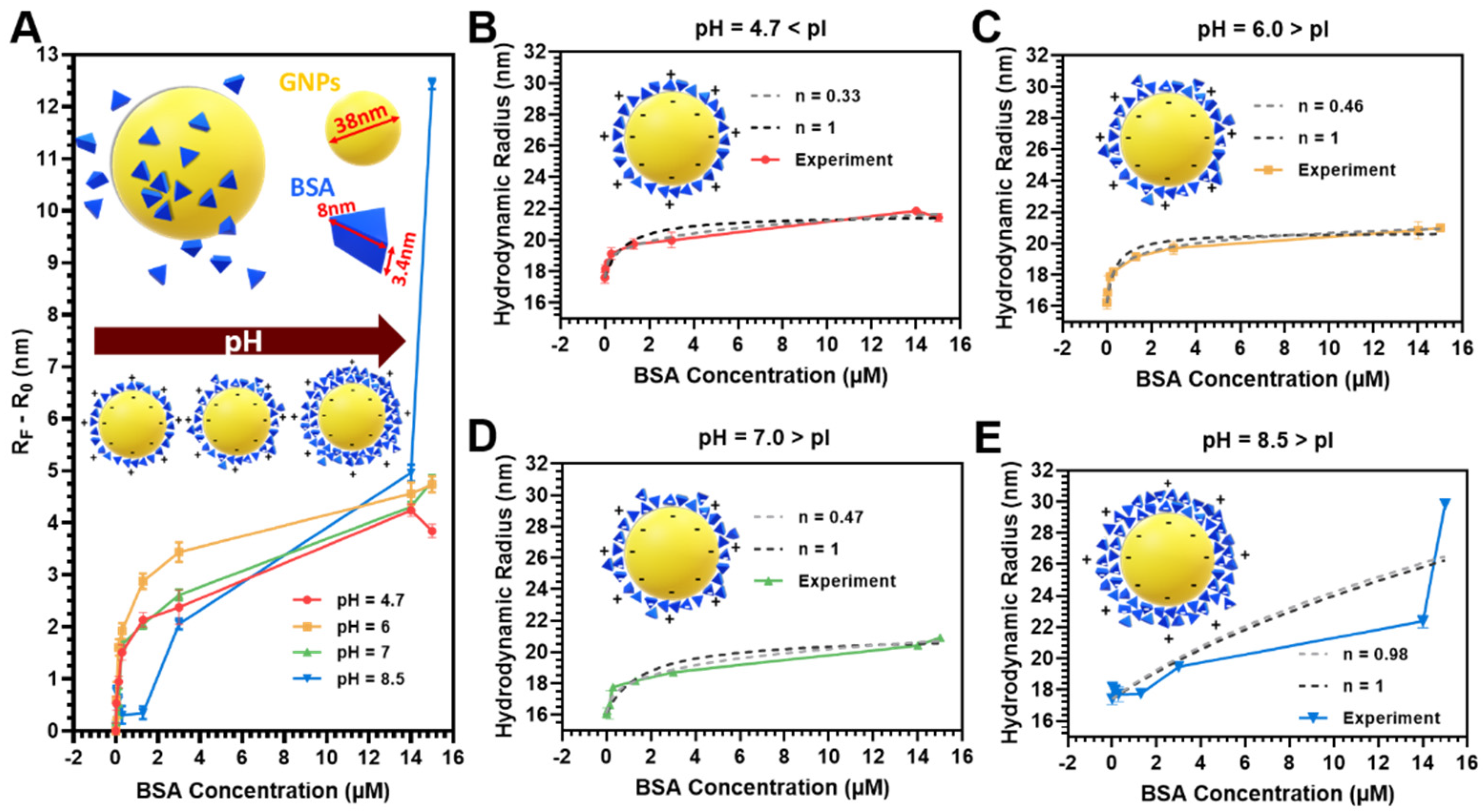 Pharmaceutics 13 00216 g002