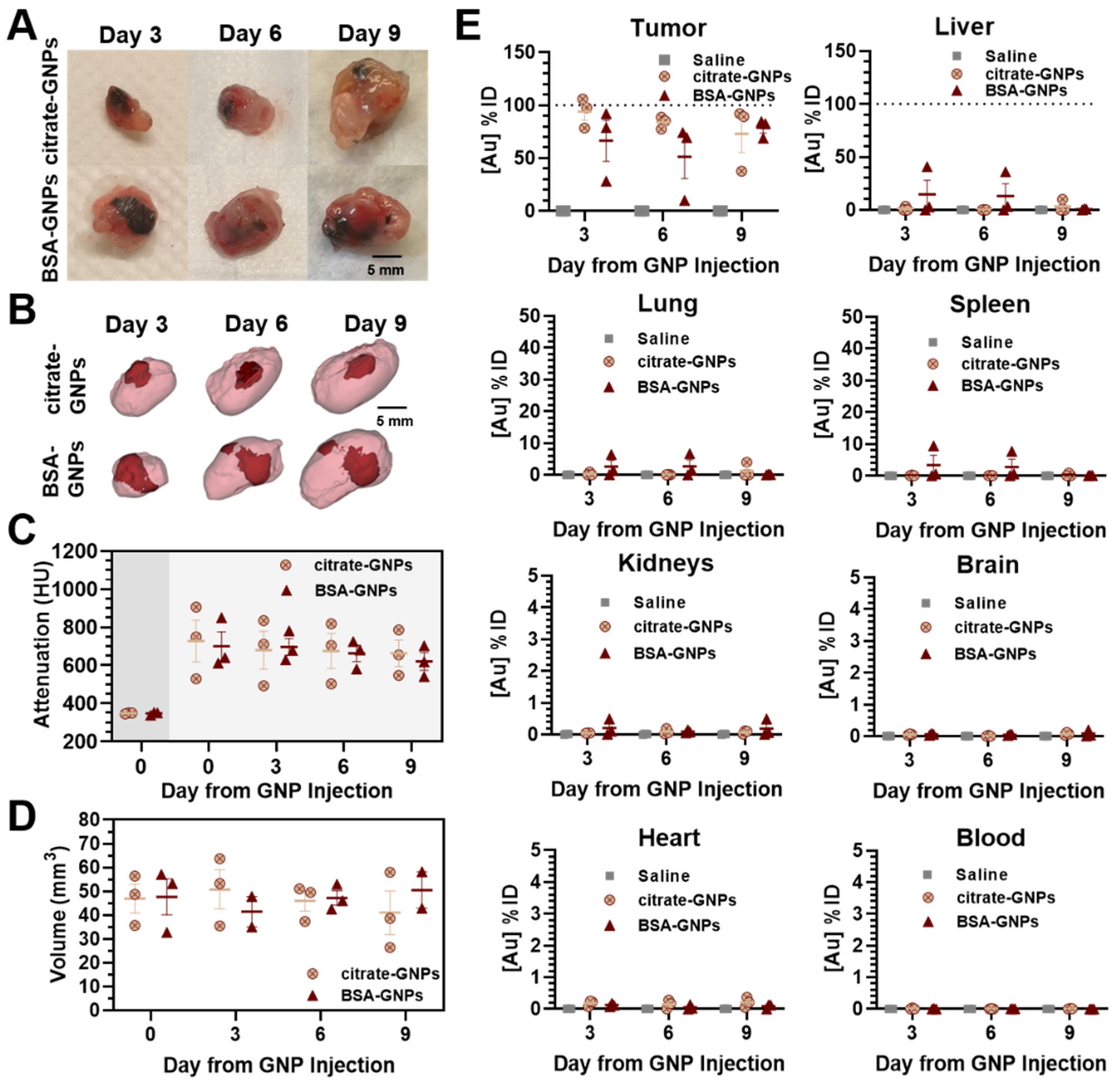 Pharmaceutics 13 00216 g006