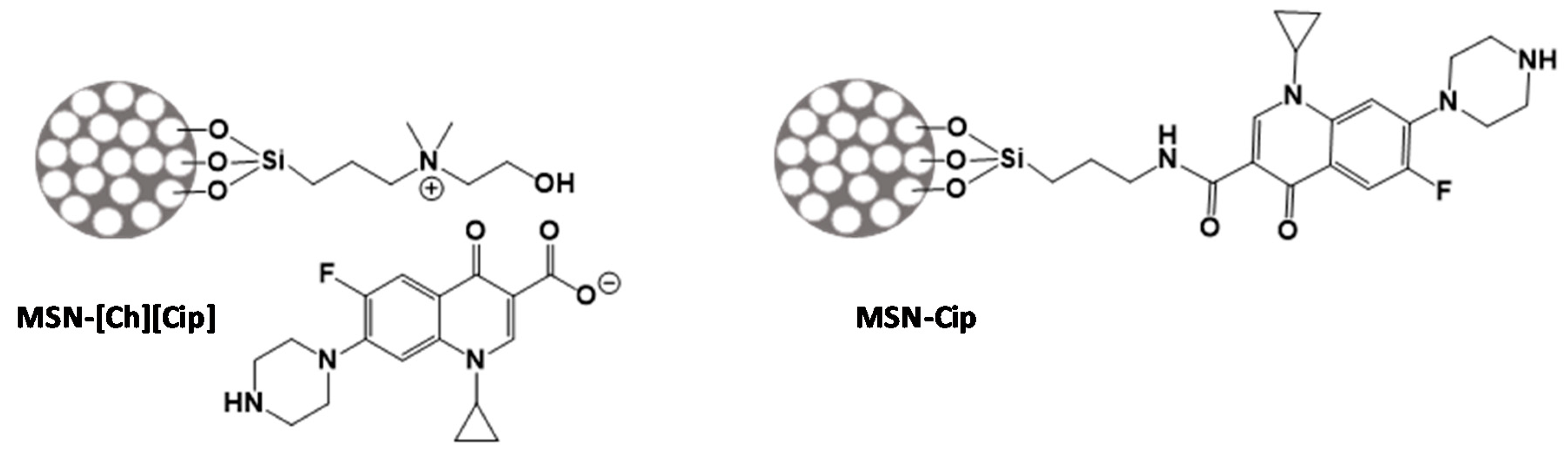 Pharmaceutics 13 00218 g001 Pharmaceutics 13 00218 g001