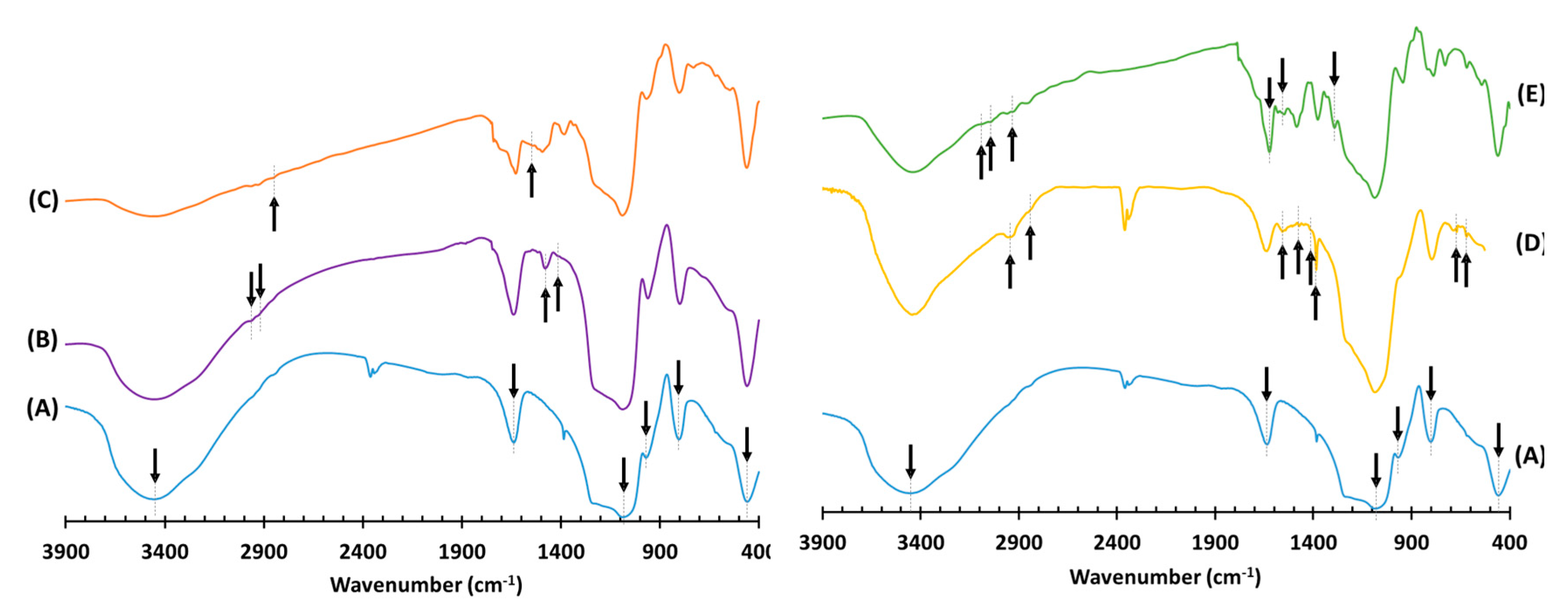 Pharmaceutics 13 00218 g004 Pharmaceutics 13 00218 g004