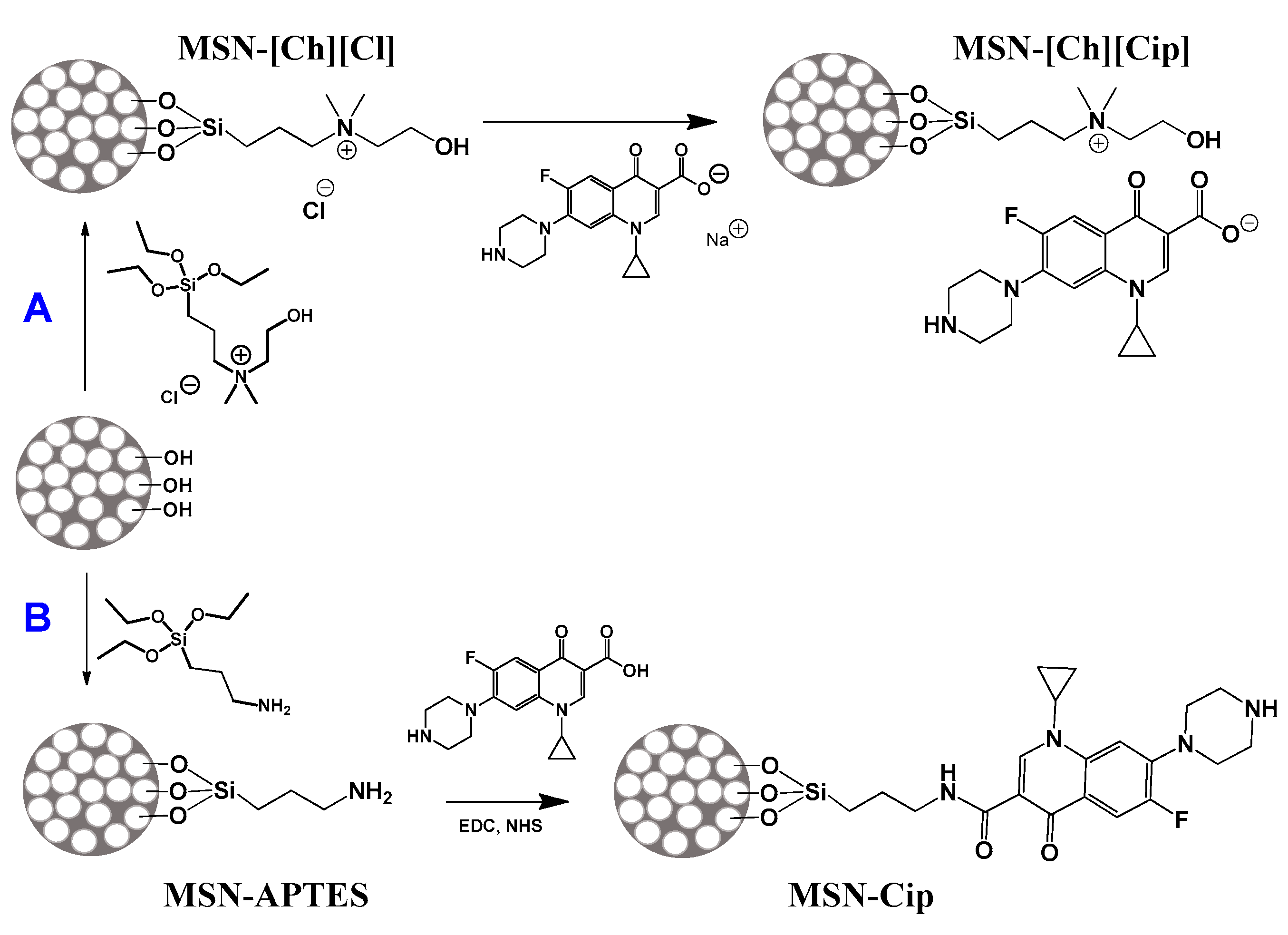 Pharmaceutics 13 00218 sch001 Pharmaceutics 13 00218 sch001