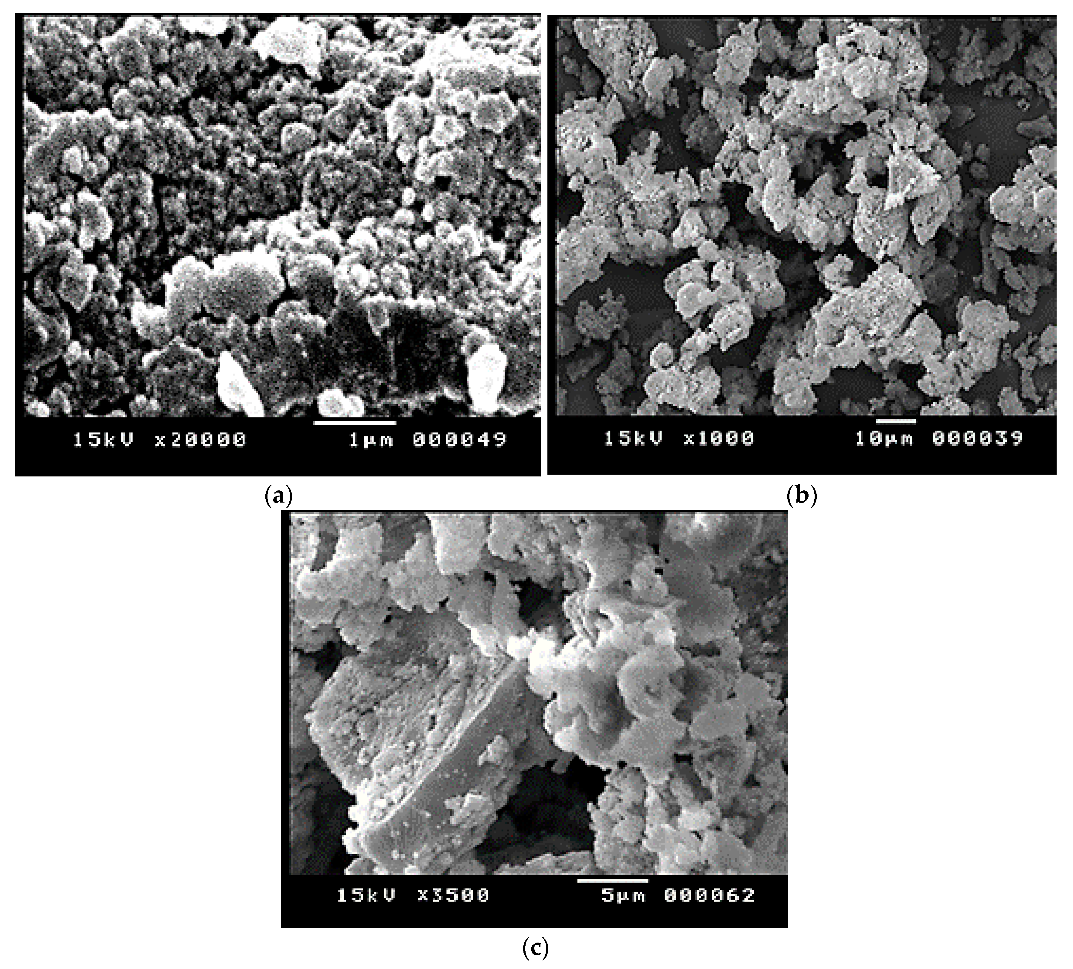 Pharmaceutics 13 00226 g003