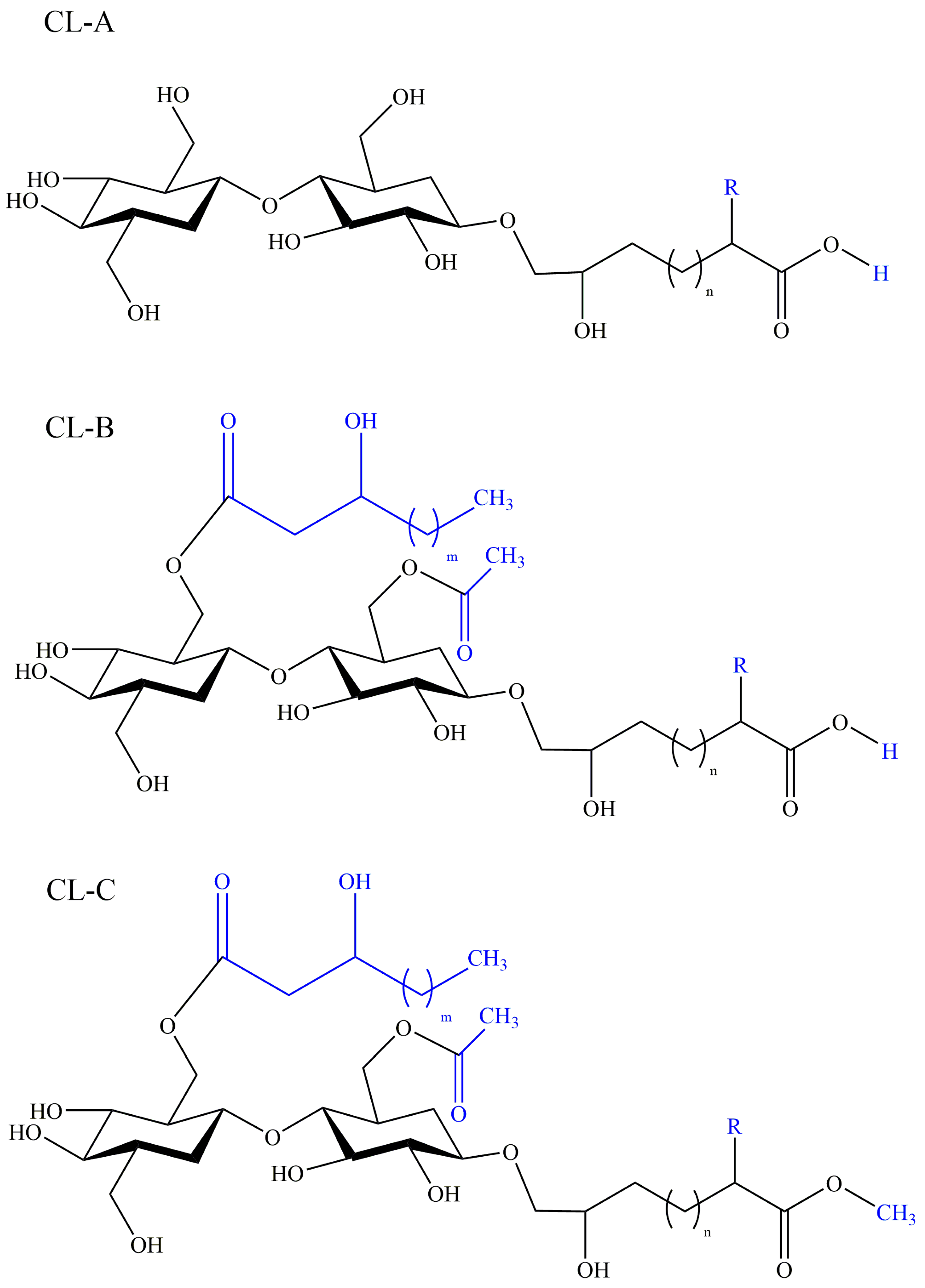 Pharmaceutics 13 00227 g005